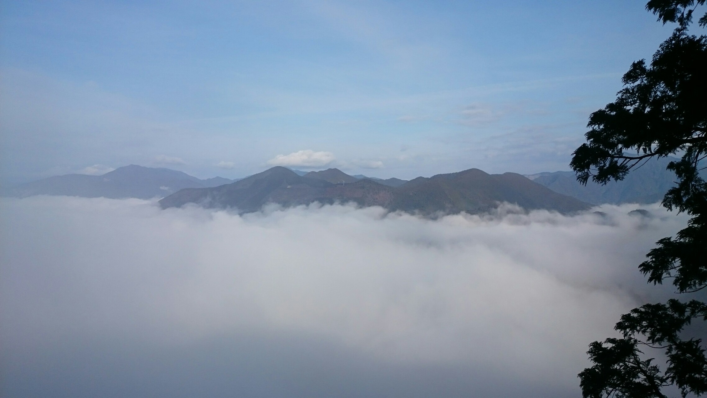 来ました熊野古道7 風伝峠 通り峠 横垣峠 ヤス さんの熊野古道伊勢路その3の活動データ Yamap ヤマップ
