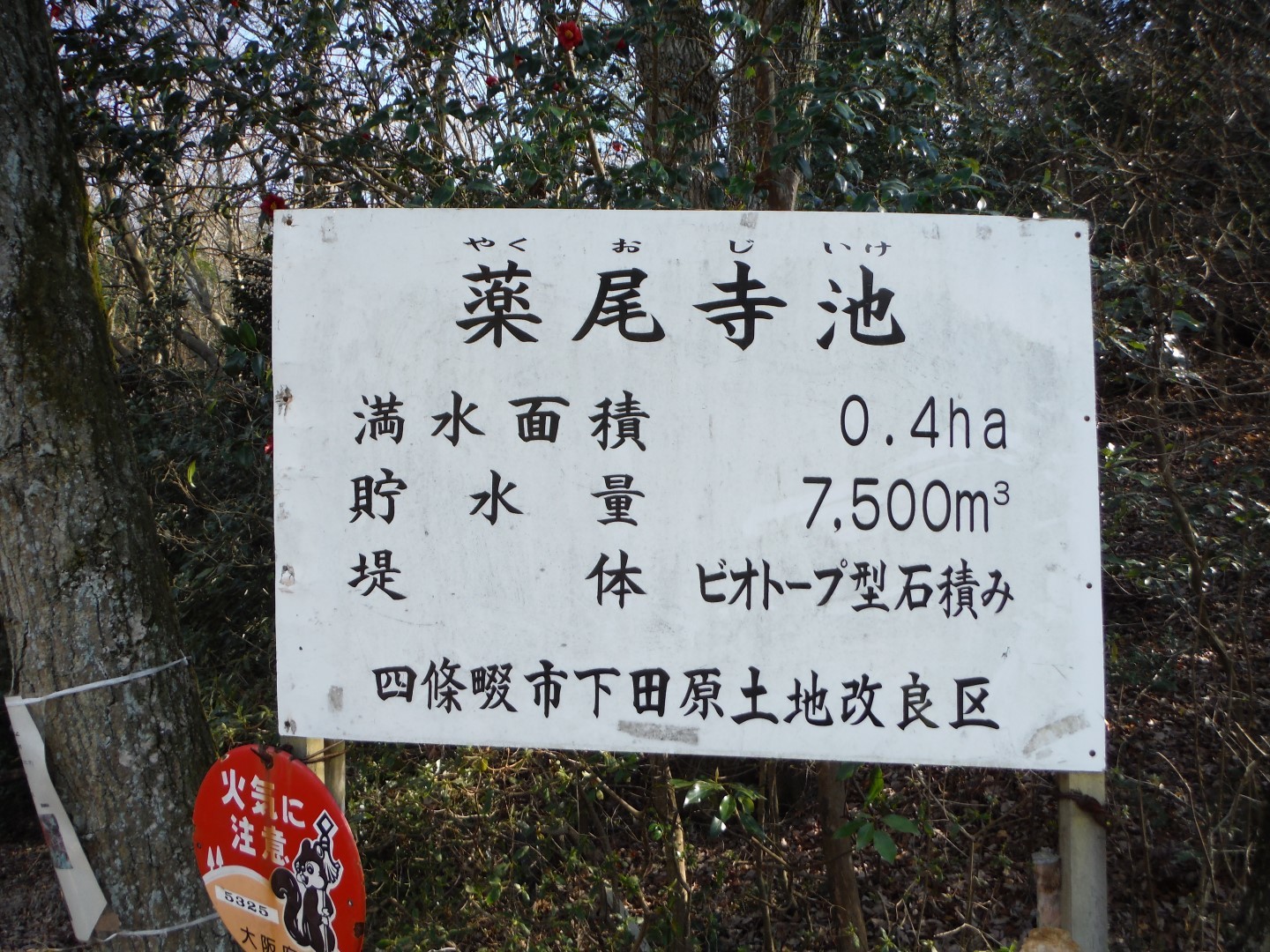 飯盛霊園 薬尾寺池 室池中堤 桜池 不動祠行場跡 北条小学校 Toyoさんの交野山 国見山の活動データ Yamap ヤマップ