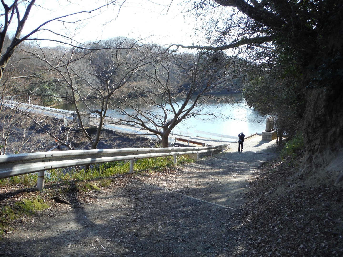 飯盛霊園 薬尾寺池 室池中堤 桜池 不動祠行場跡 北条小学校 Toyoさんの交野山 国見山の活動データ Yamap ヤマップ