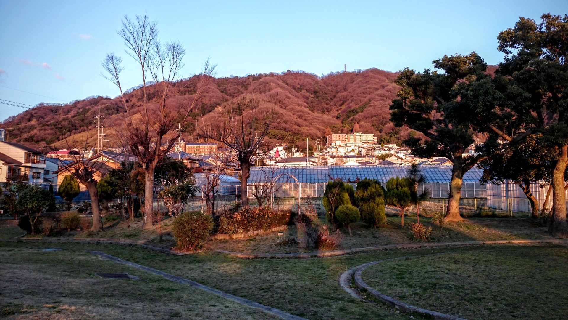 飯盛霊園 薬尾寺池 室池中堤 桜池 不動祠行場跡 北条小学校 Toyoさんの交野山 国見山の活動データ Yamap ヤマップ