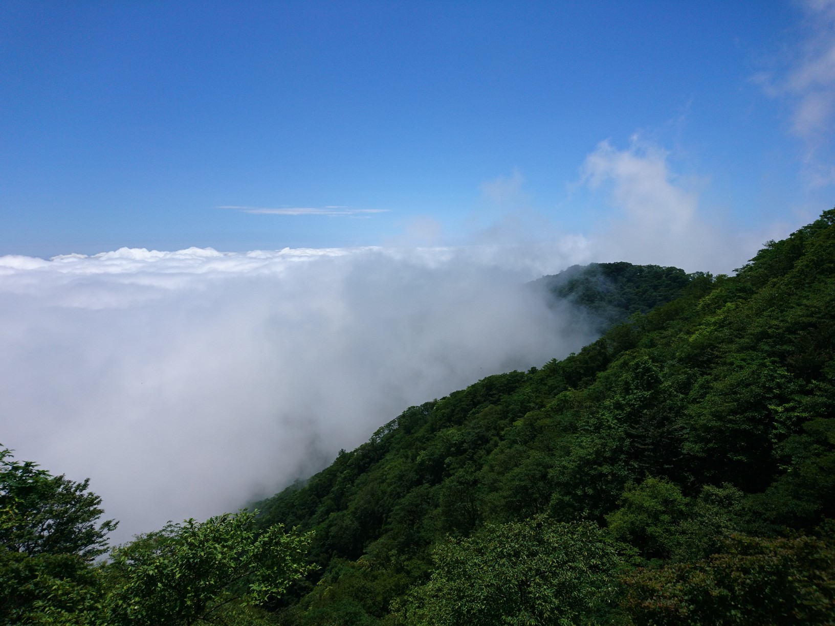 戸沢山荘から塔ノ岳周回 19 07 10 うっちゃんさんの丹沢山の活動日記 Yamap ヤマップ