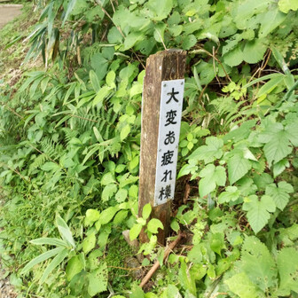 taiki
