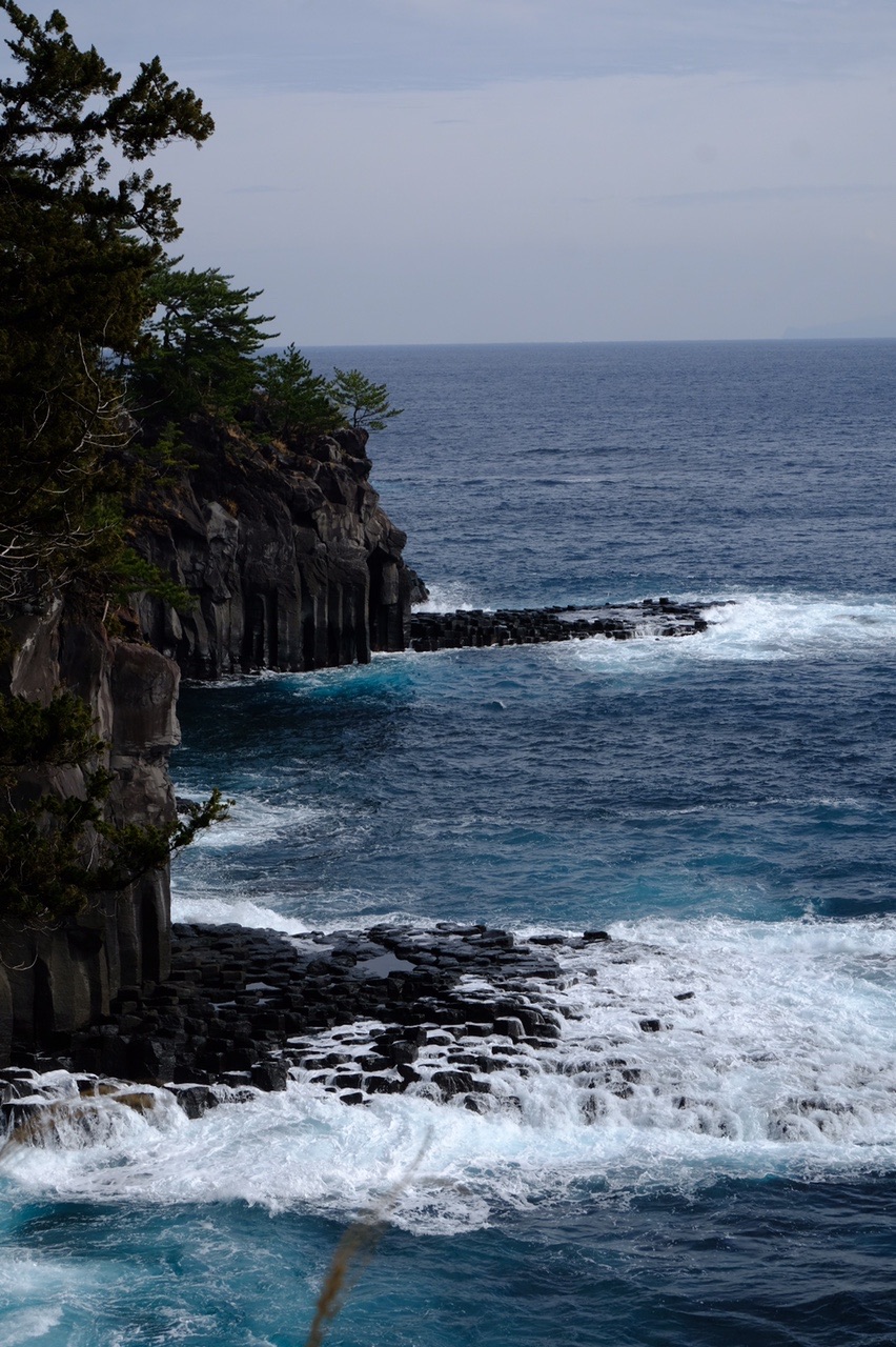城ヶ崎海岸ピクニカルコース 自然研究路散策 Umiさんの城ヶ崎海岸ピクニカルコースの活動データ Yamap ヤマップ