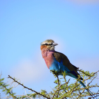 dendenのページ YAMAP / ヤマップ