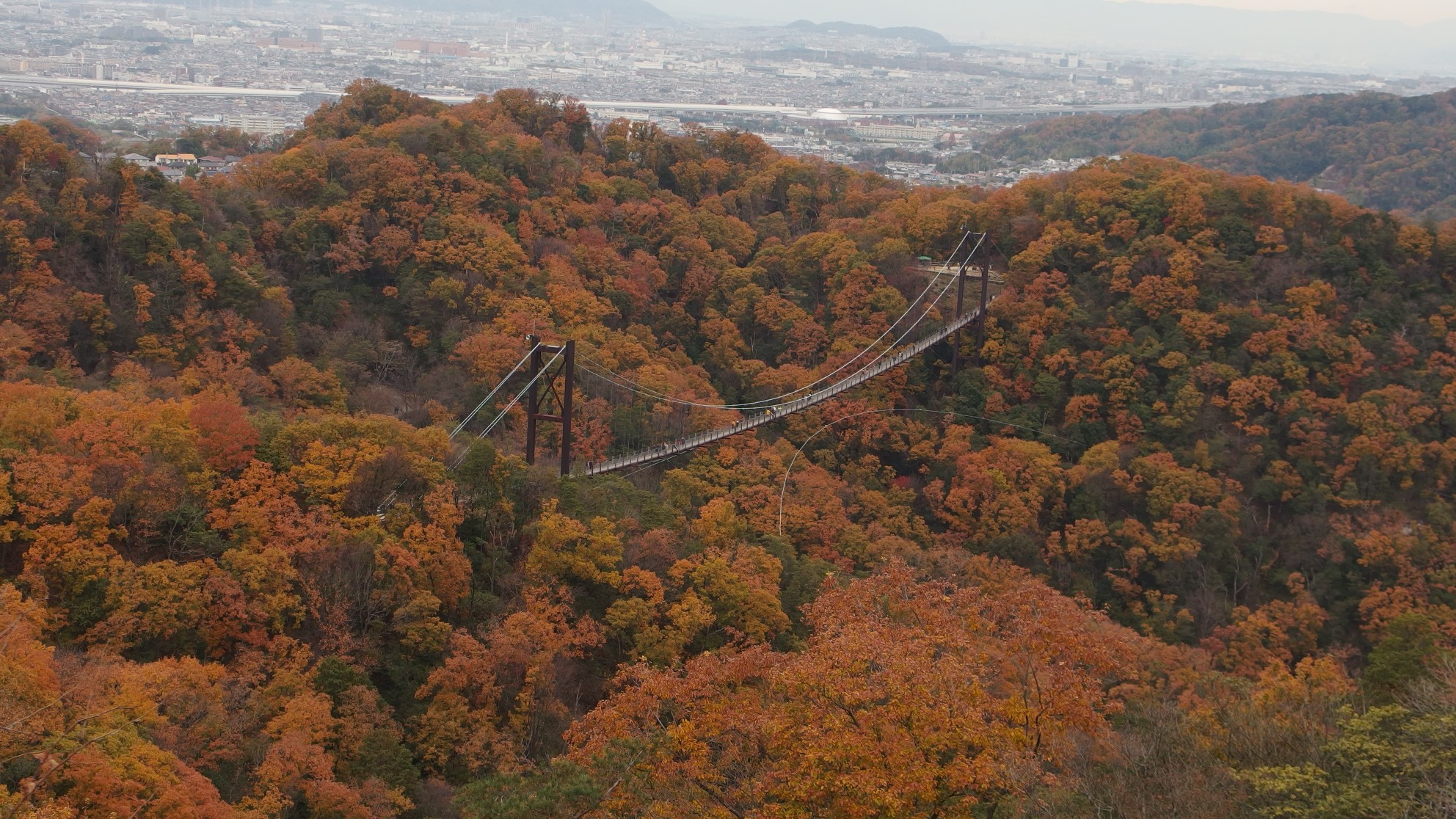 ほしだ園地 星のブランコの紅葉 Matuさんの交野山 国見山の活動日記 Yamap ヤマップ