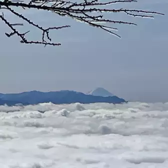 霧氷と富士山🗻
