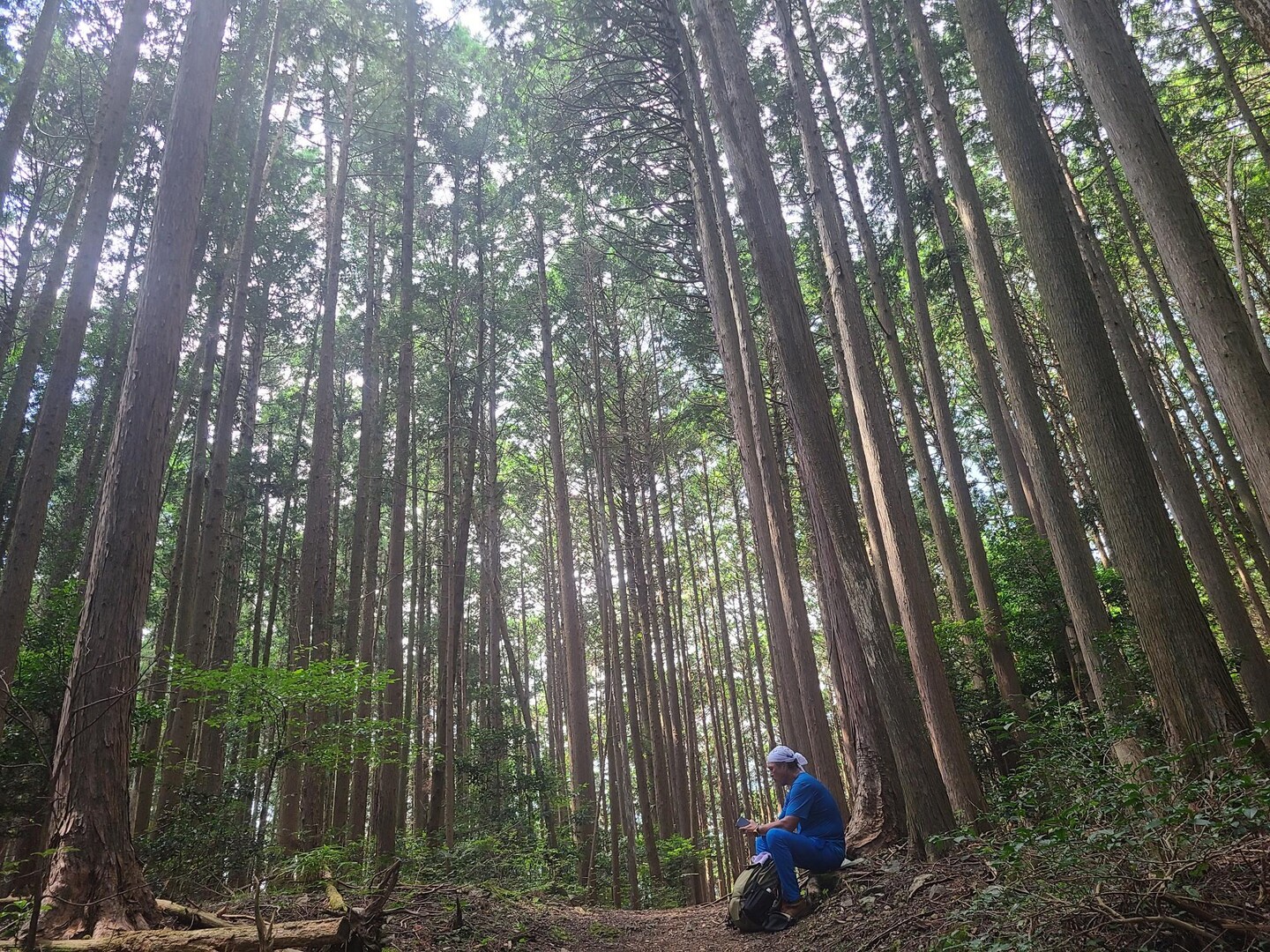 西吾野駅→顔振峠・育代山→吾野駅 / どじさんの関八州見晴台の活動データ YAMAP / ヤマップ