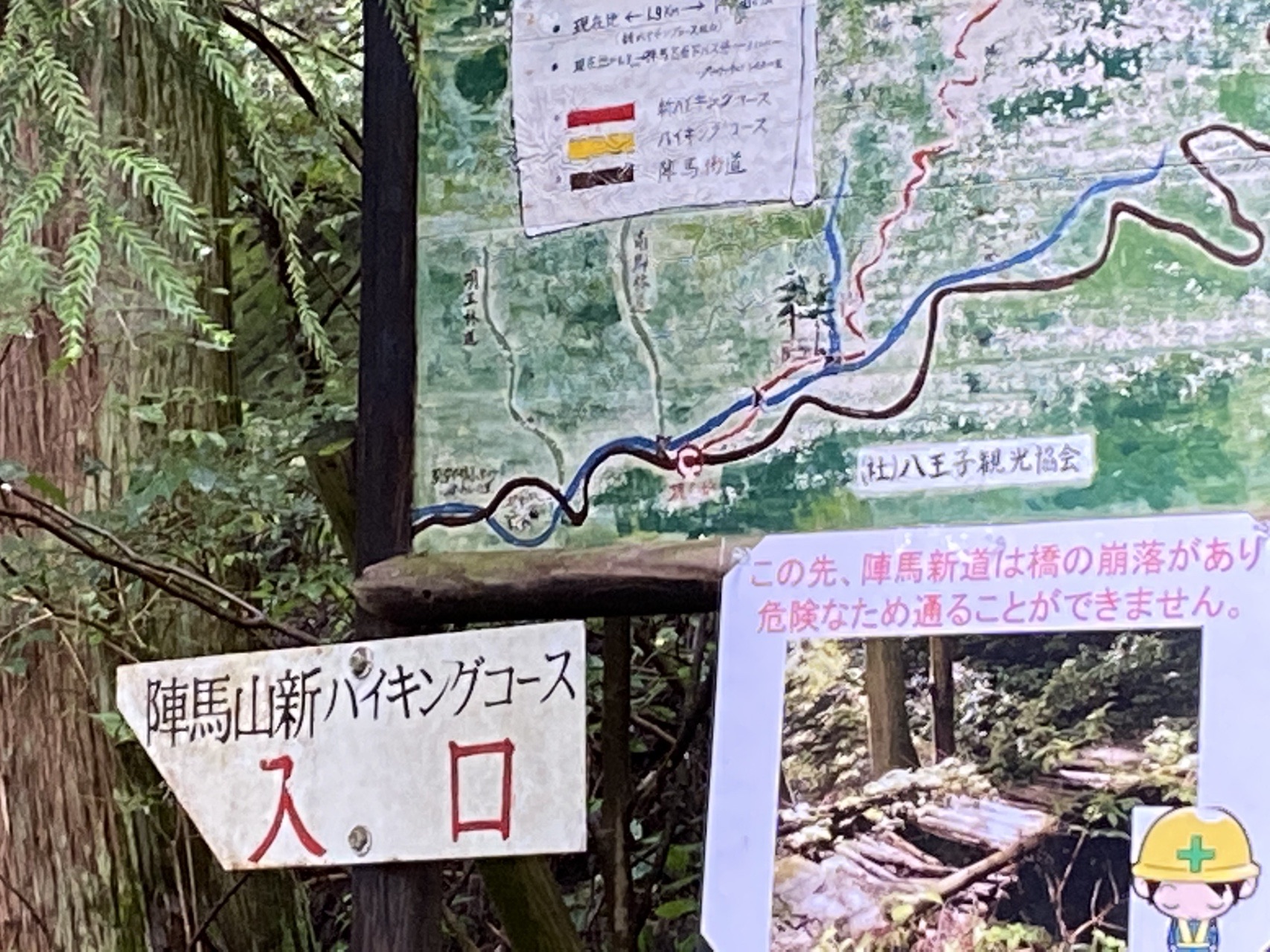 陣馬山 南郷山 富士小屋山 景信山 城山 小仏城山 高尾山 サチヲさんの高尾山 陣馬山 景信山の活動データ Yamap ヤマップ