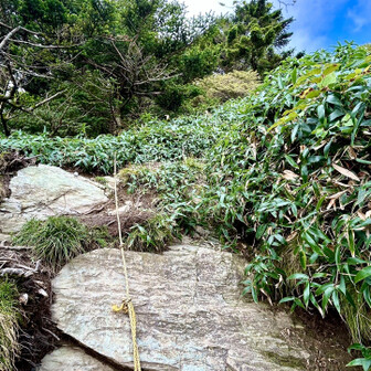 瓶ヶ森・伊予富士 お助けロープ
降りが怖かった