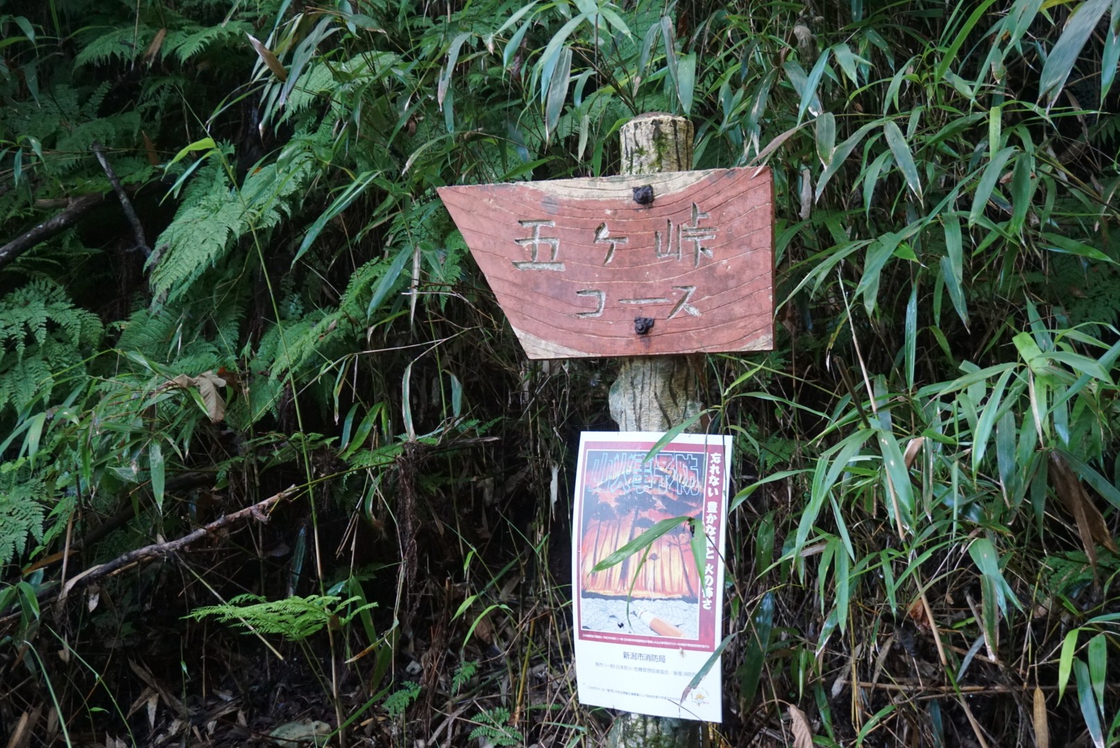 残暑厳しい時は角田山 五ケ峠 みーさんの角田山の活動データ Yamap ヤマップ