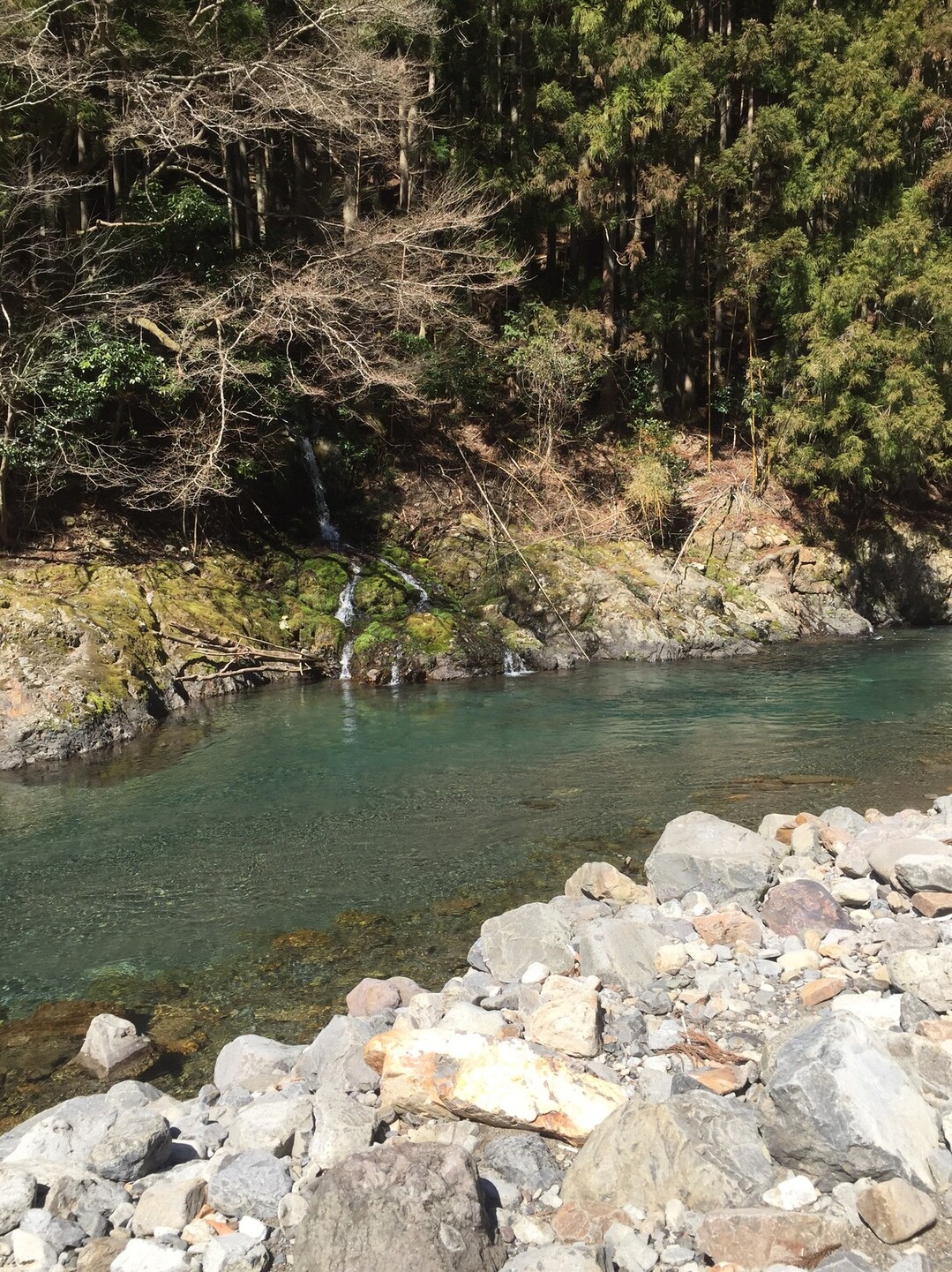 龍神村 大熊 渓流釣り 足軽ボーズさんの熊野古道 小辺路の活動日記 Yamap ヤマップ