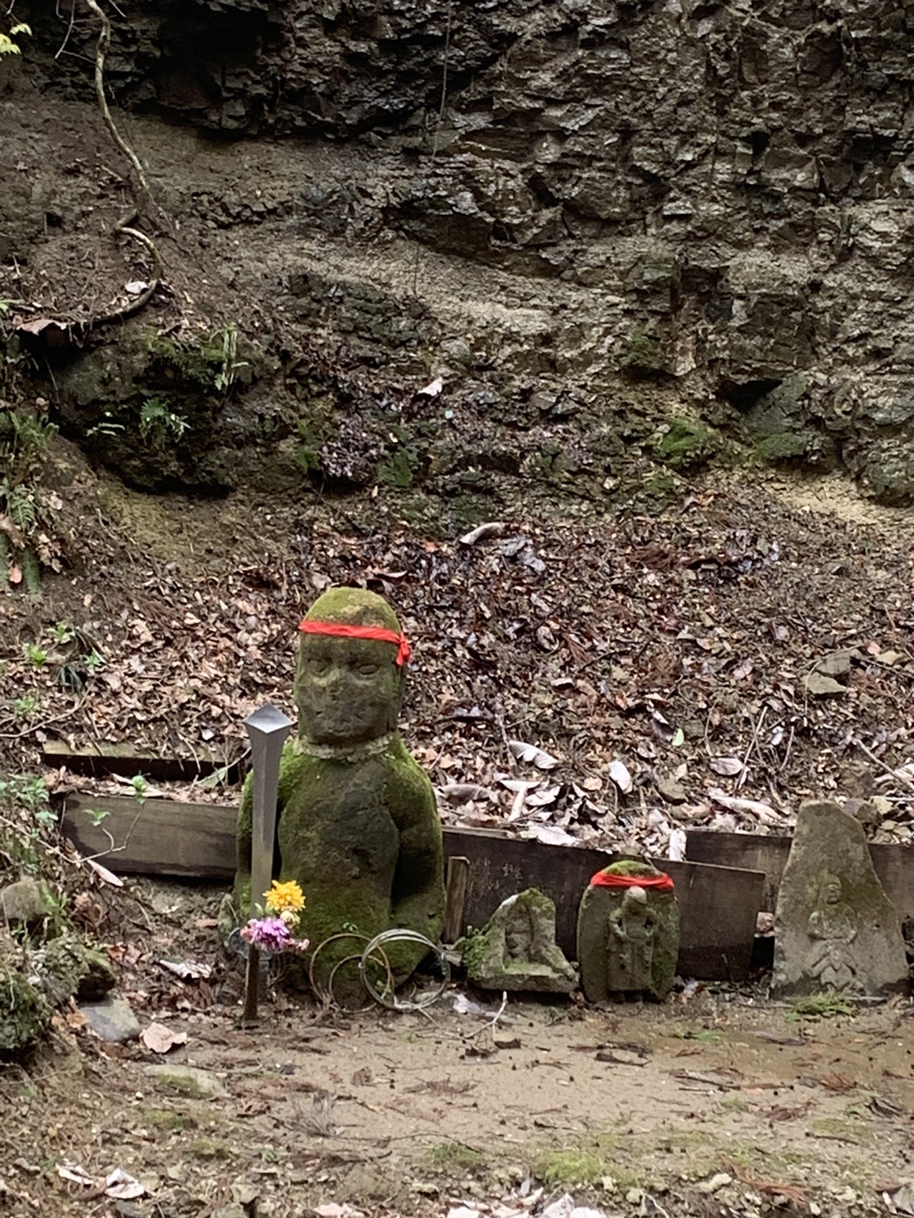 仙台探検隊 本日のテーマは 水 みほさんの仙台市の活動日記 Yamap ヤマップ