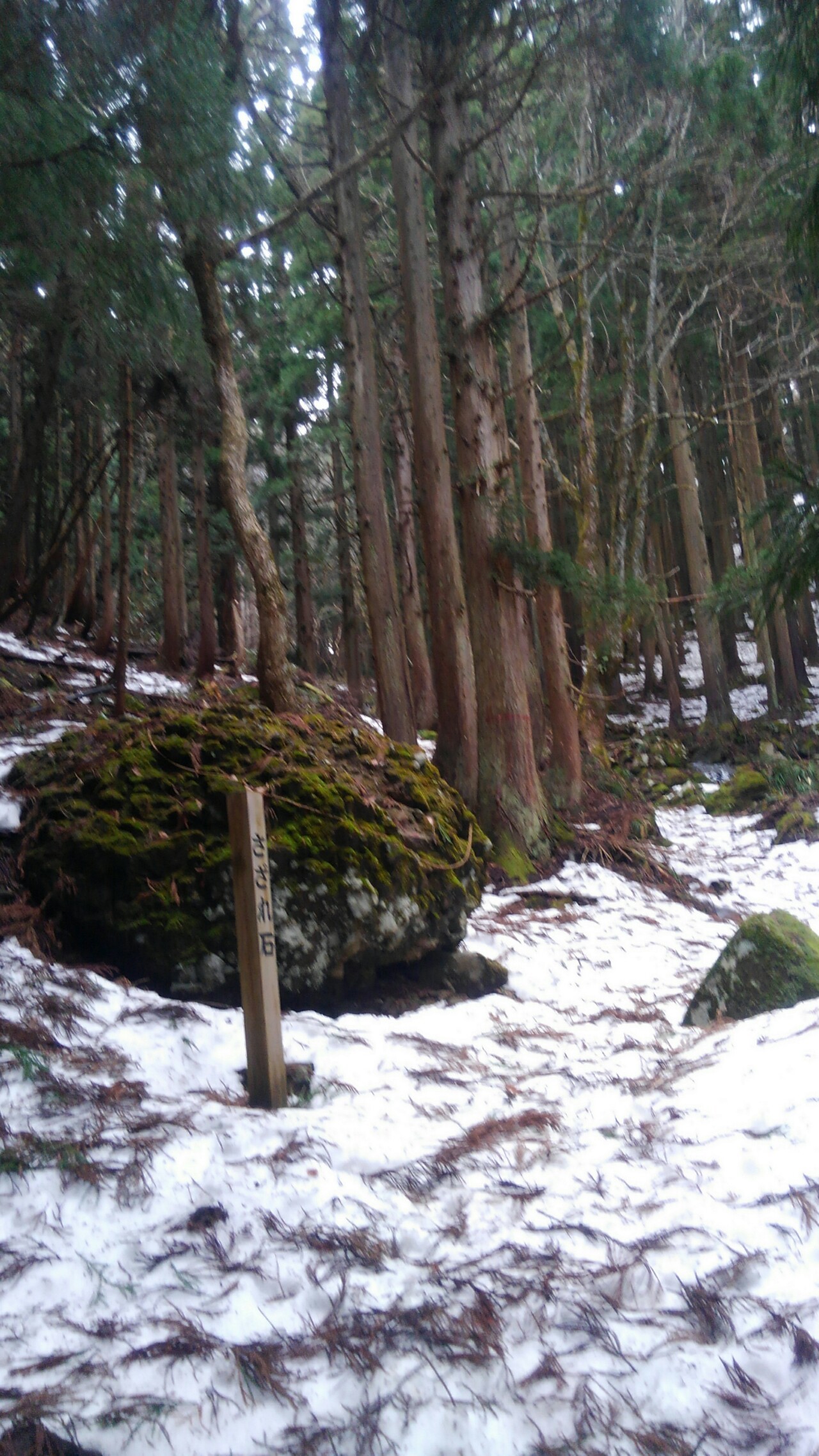 雪解けの氷ノ山 みさんの氷ノ山 須賀ノ山 鉢伏山 瀞川山の活動データ Yamap ヤマップ