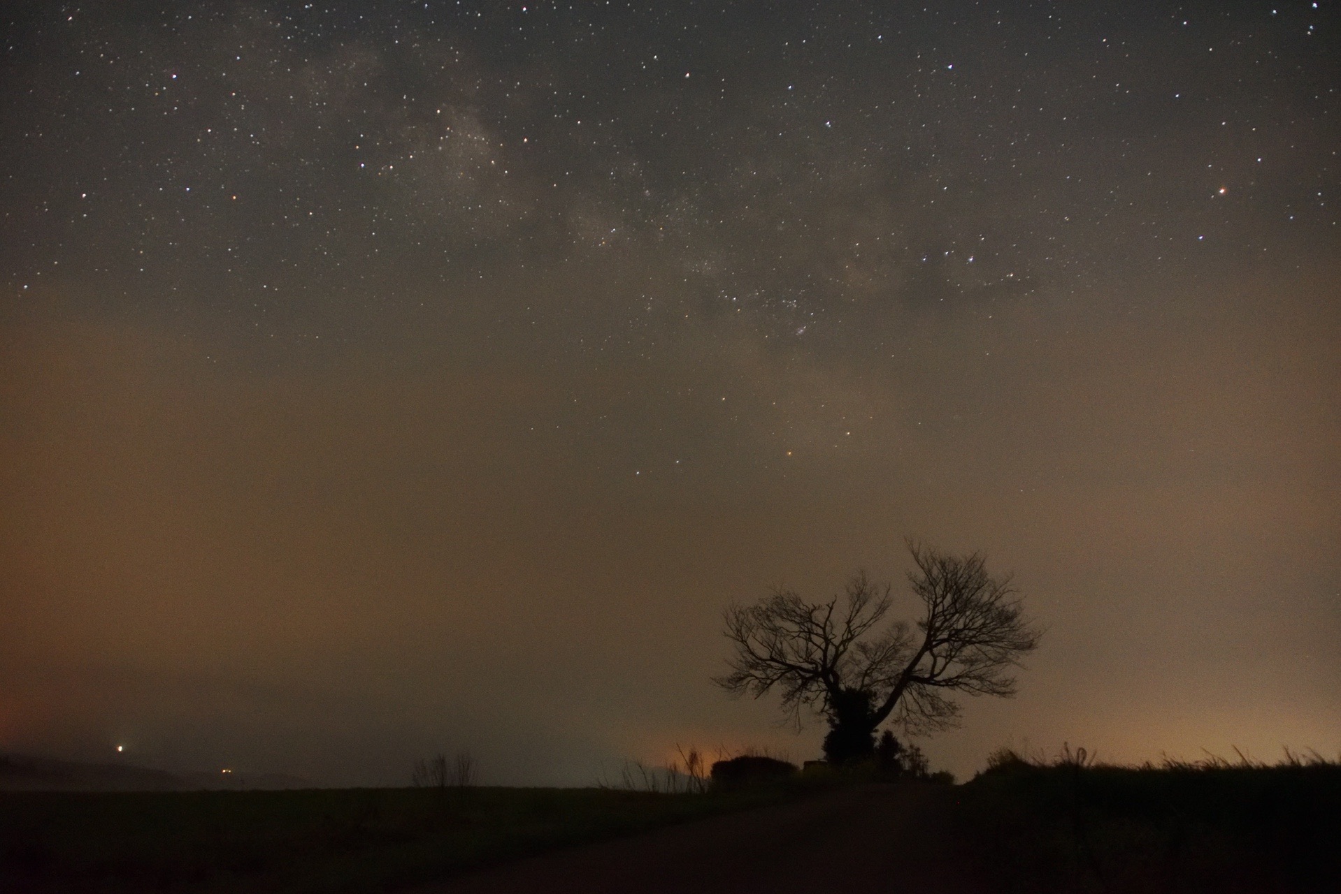 亀石山 まーしゃんさんの万年山 伐株山の活動日記 Yamap ヤマップ