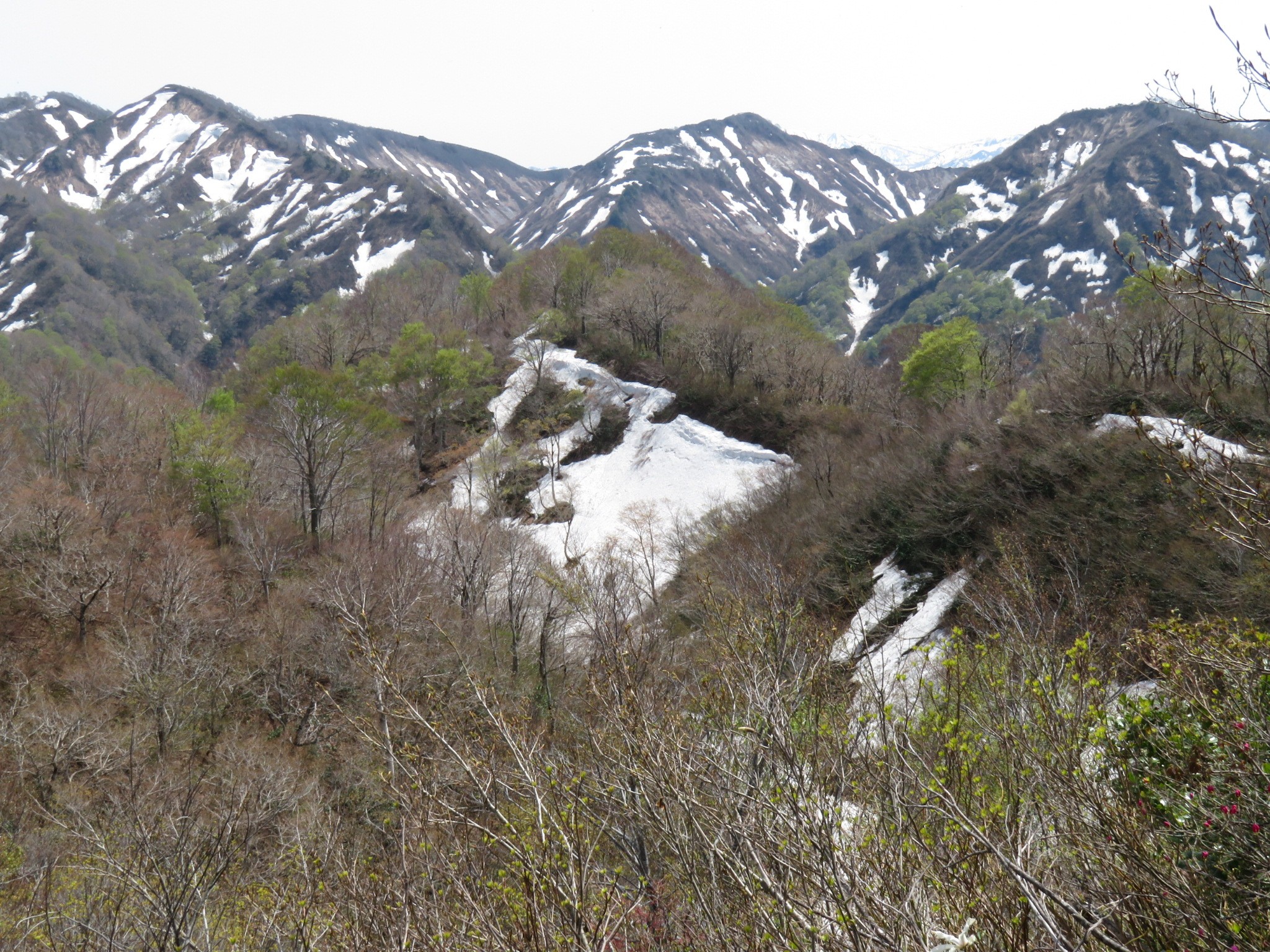 木六山・銀次郎山 中央 堂ノ窪山