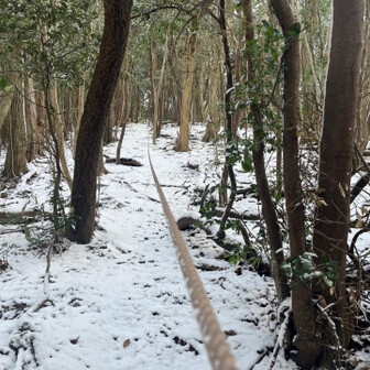 御伊勢山・雨乞山・相原山 滑らないようロープを。