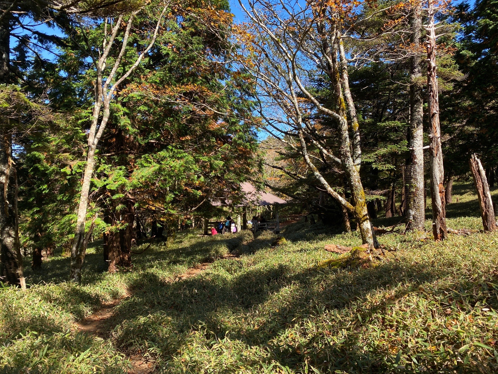 大台ヶ原はハイカーと路駐の混雑 大蛇グラの展望は渋滞の展望待ちダ の巻 セナさんさんの大台ヶ原山 日出ヶ岳 大杉谷の活動データ Yamap ヤマップ