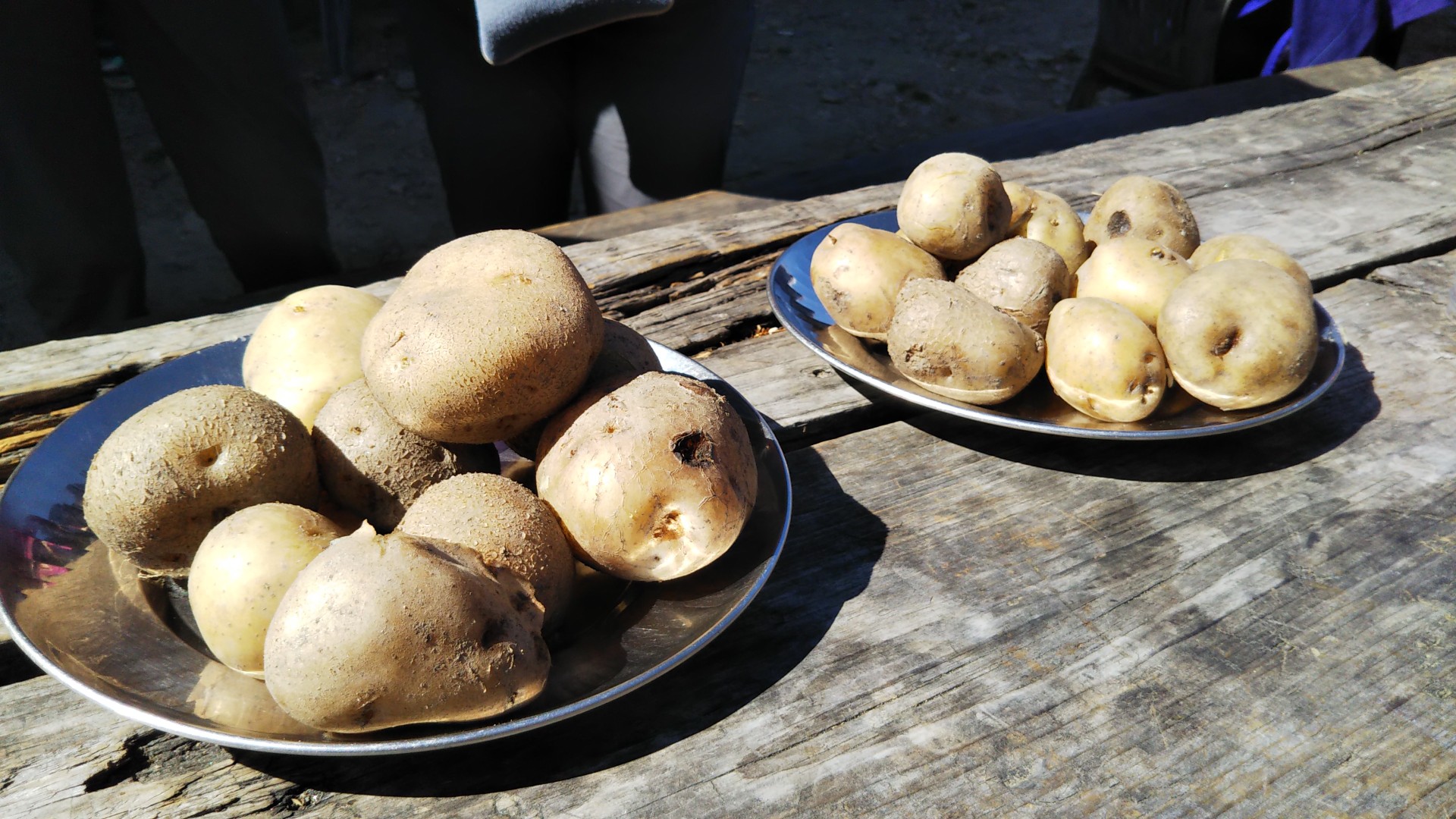 ネパール ランタン山群 ゴサインクンド トレッキングの旅 19 11 10 11 12 やまおさんのカトマンズの活動日記 Yamap ヤマップ