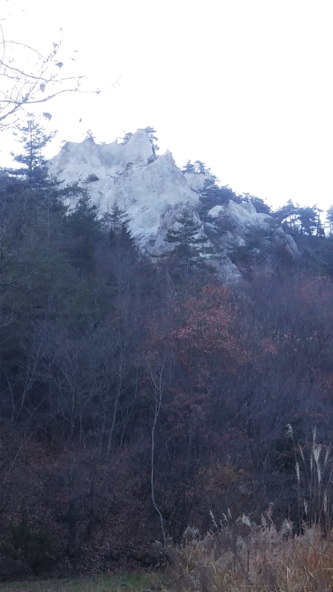 12月5日 最寄りの里山 中尾山へ。行き... / ピークハンター かんたろう。さんのモーメント YAMAP / ヤマップ