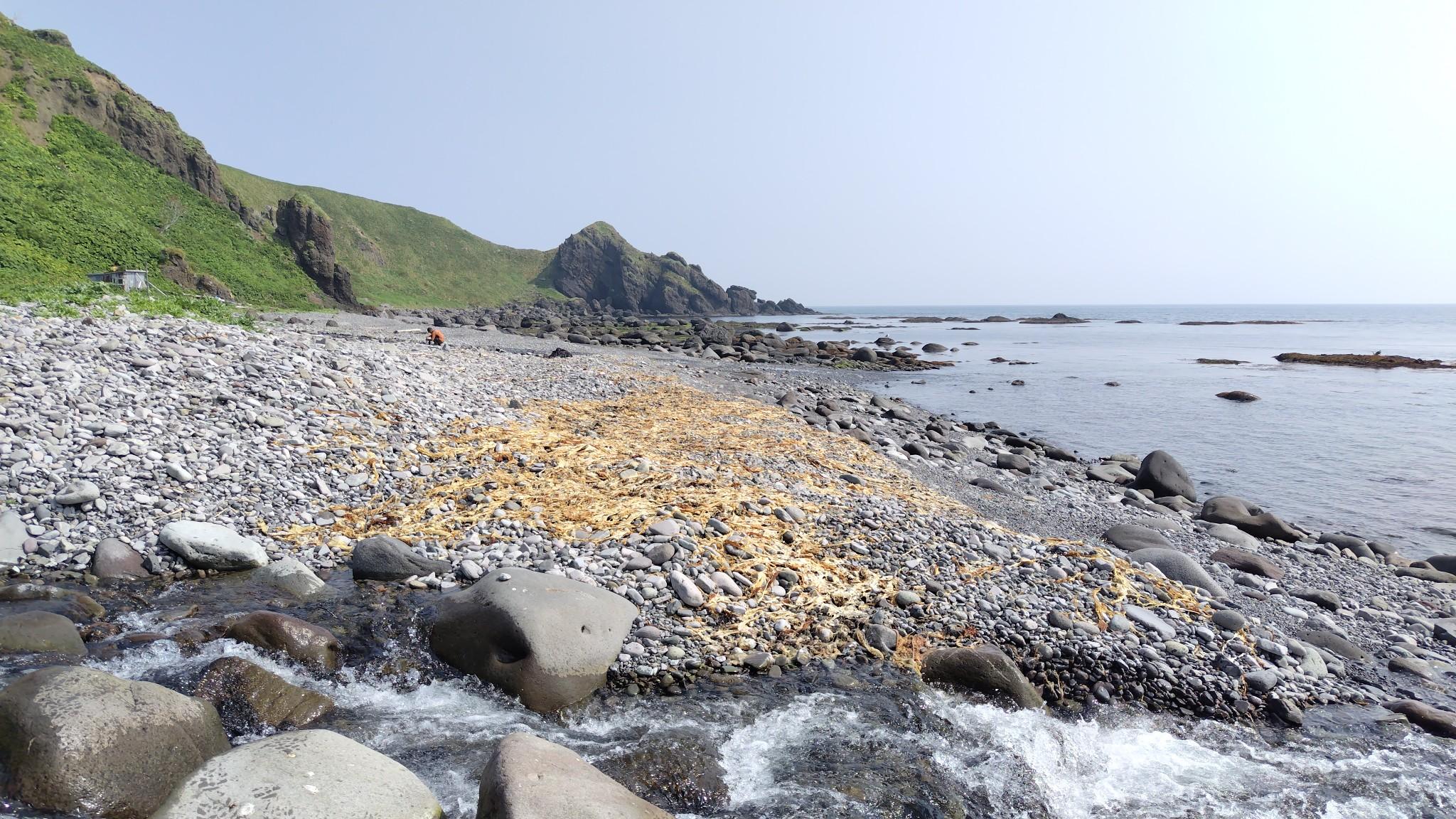 番屋がある（あった）場所には、川が流れてます。3日間、無風＆晴天続きだったので、川ごとに水をかぶって体温を冷やしながら進みました。
そして、浄水が間に合わないので、「流れている川の水でエキノコックスには感染しない」という北海道の都市（山）伝説を信じて、水を直接飲んでました。