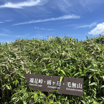 この看板を見つけるのに一苦労。