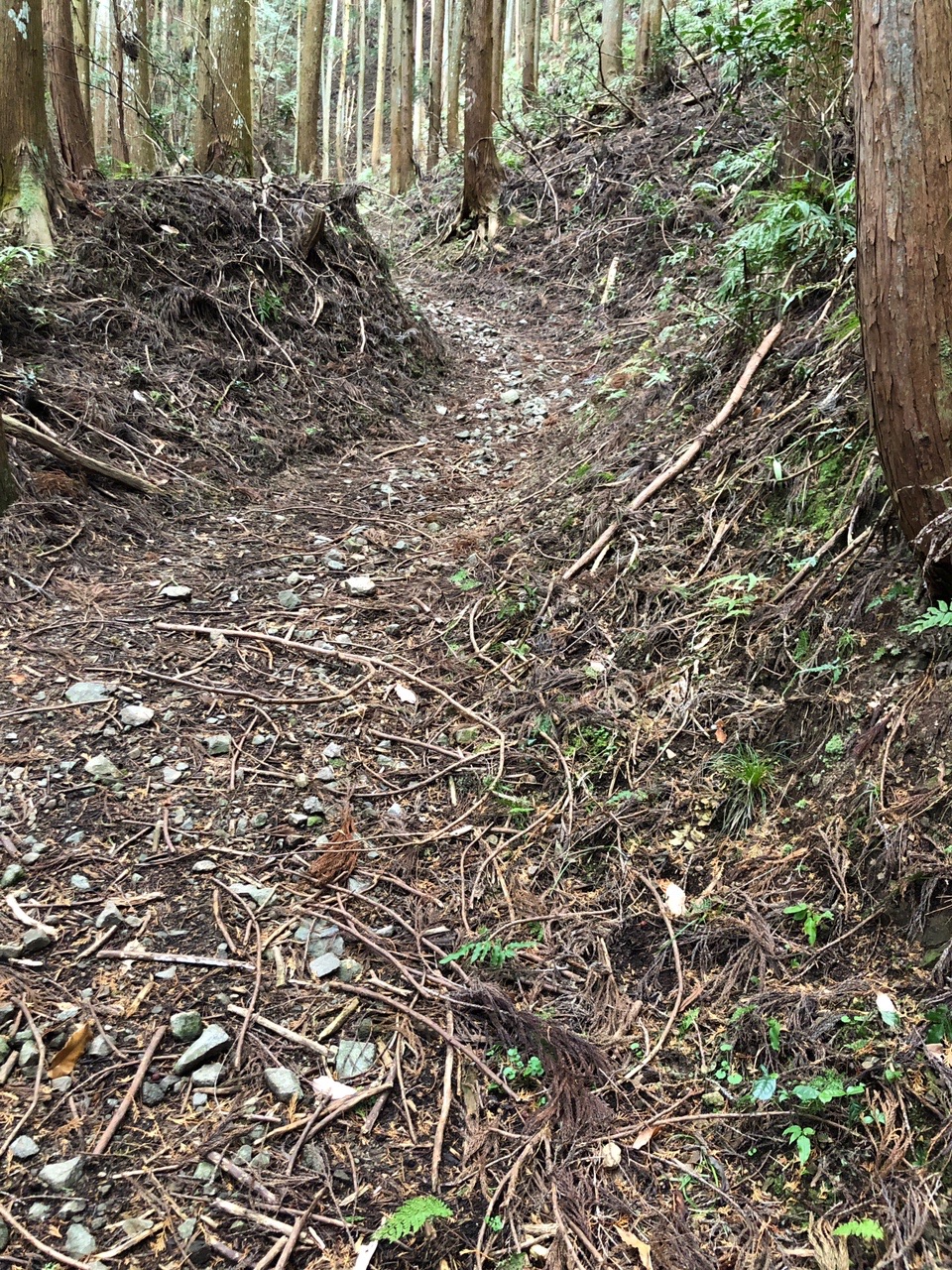 高取山 ここから本格的に山道になります。