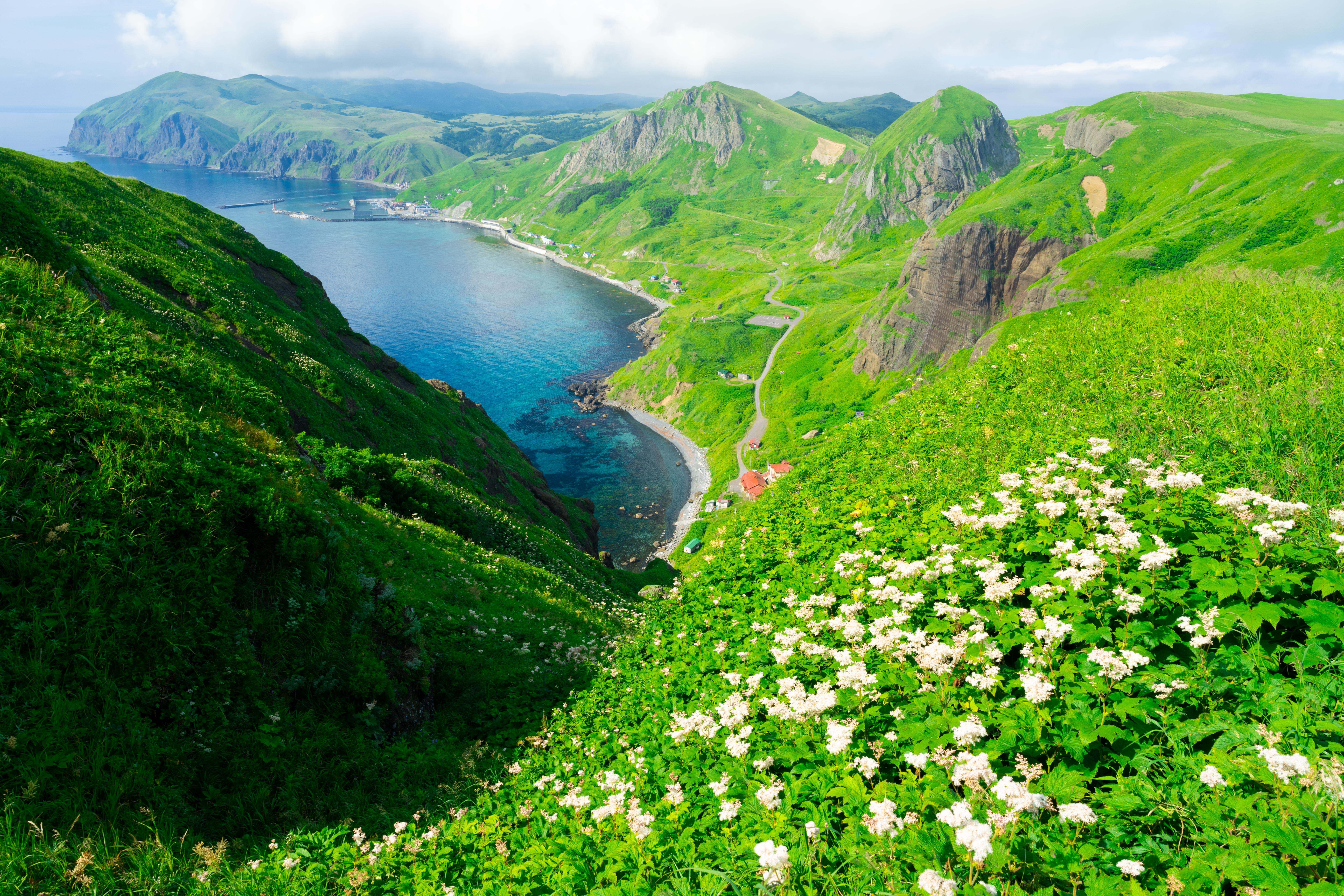 花の浮島 礼文島 うーやんさんの礼文島の活動データ Yamap ヤマップ