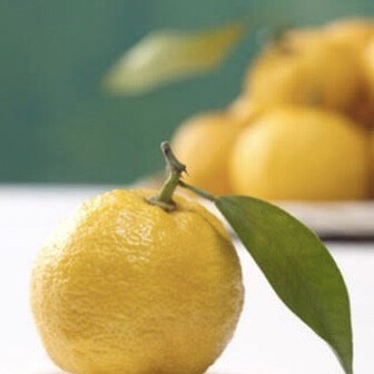 citrontree