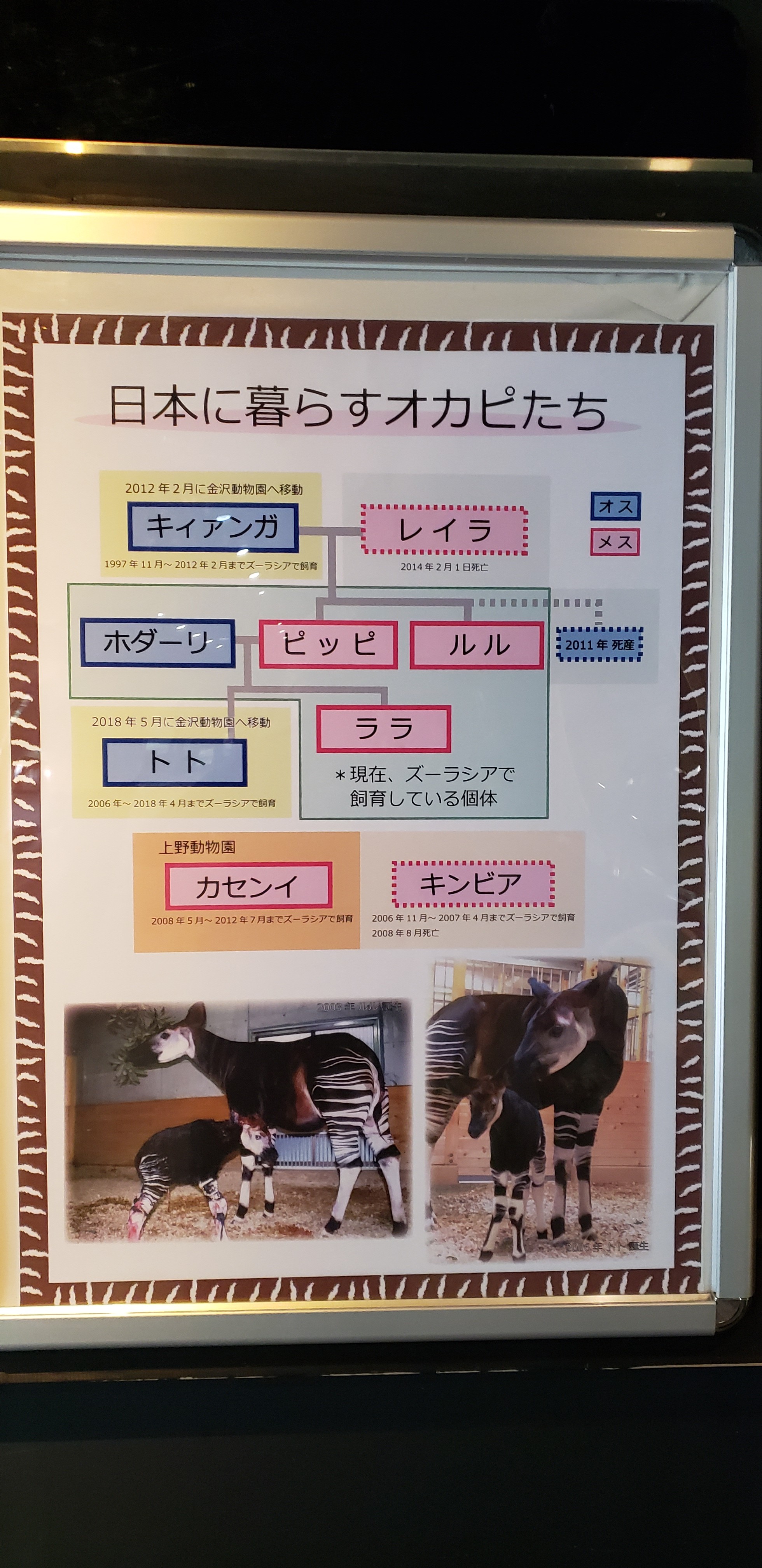 癒されに行ってきました Tomさんの厚木市の活動日記 Yamap ヤマップ