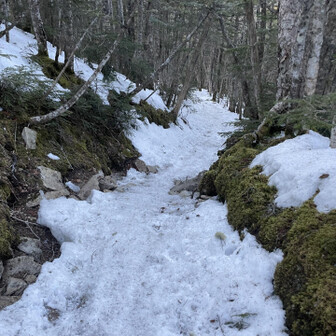 鳳凰山・地蔵岳・観音岳・薬師岳 道中雪少なめ