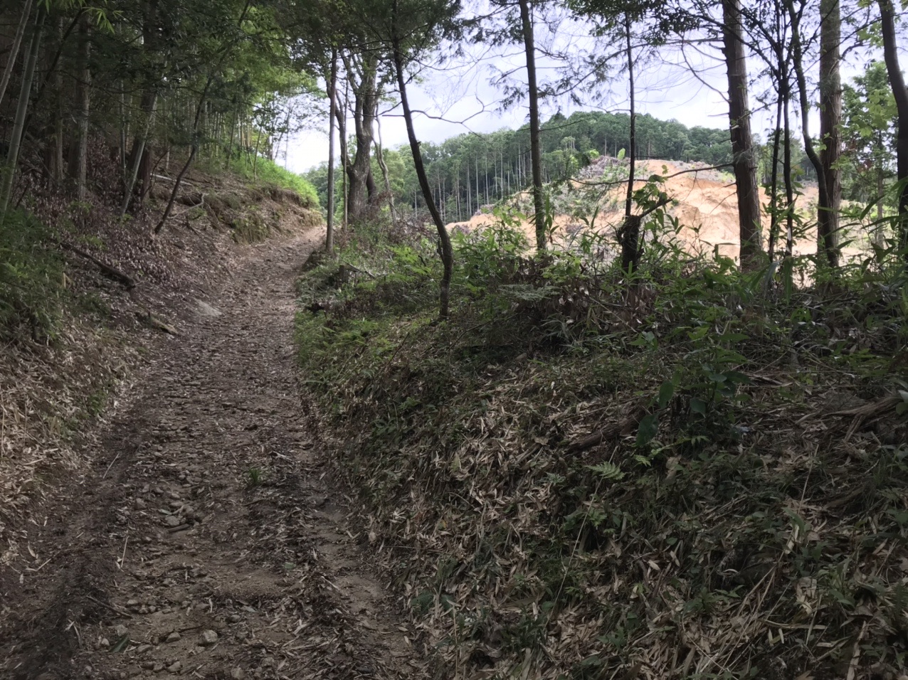 生駒山・神津嶽・大原山 このまま少し、「河内越え」の道を進んでみます。
