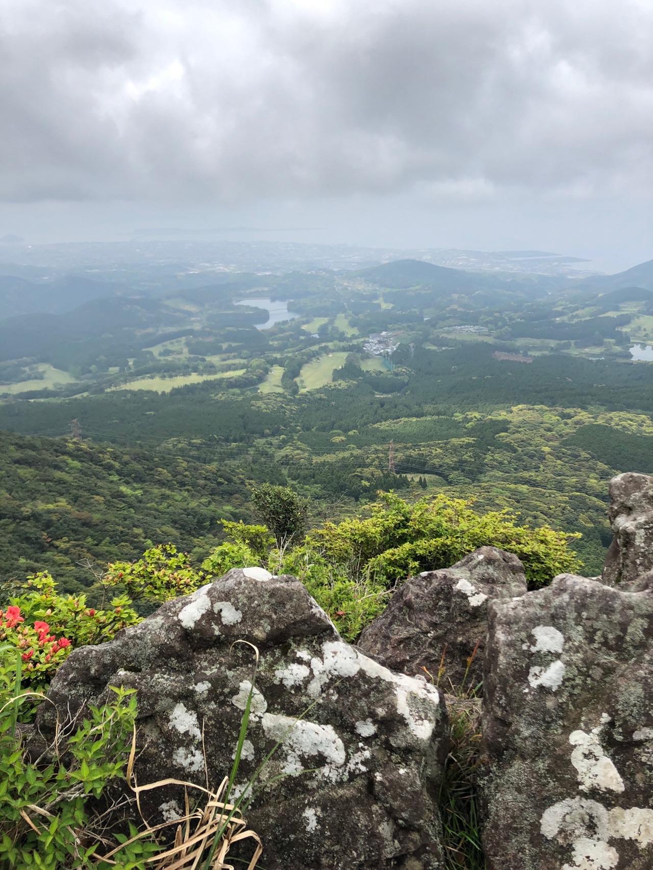 雨上がりの散歩へ郡岳(長崎県大村市) / wasaoさんの多良岳・経ヶ岳・五家原岳の活動データ YAMAP / ヤマップ