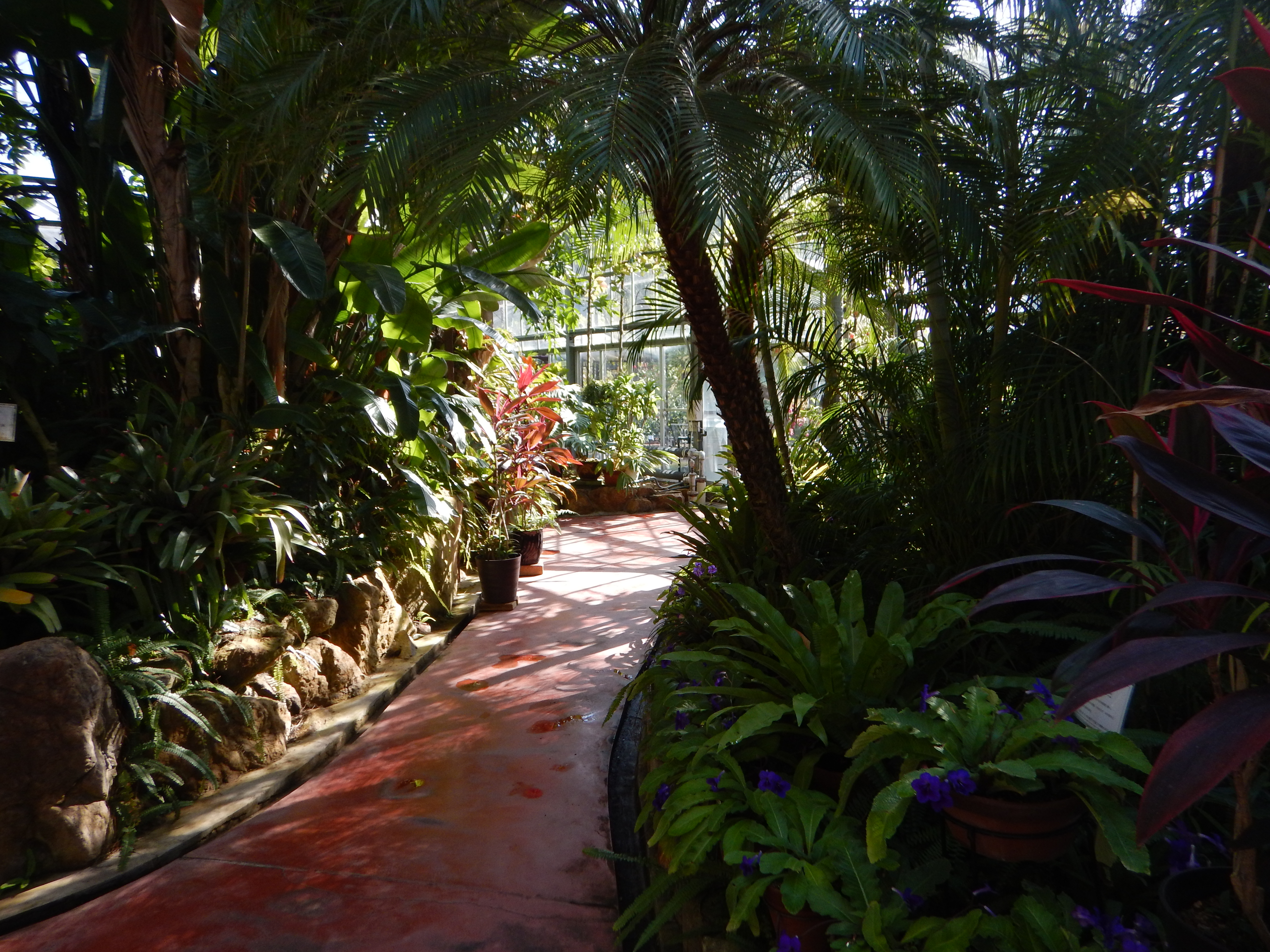 自宅から和歌山県植物公園 緑花センターまでサイクリング なかむらさんの和歌山市の活動日記 Yamap ヤマップ