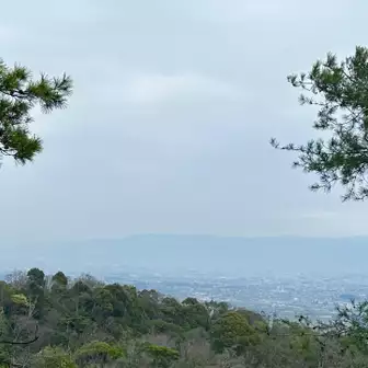 今日は曇り空☁️
もうパラパラ☔️降り始めています😩
奈良の街並み🏙も今日は靄の中🌫️
左端に三笠山⛰少し右に花山⛰一体山⛰
真ん中に城山⛰その右方に虚空蔵山⛰高峰山⛰も今日は稜線が薄っすら見えるだけですね🏞️