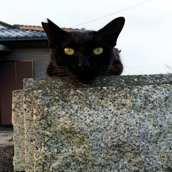 みっくん