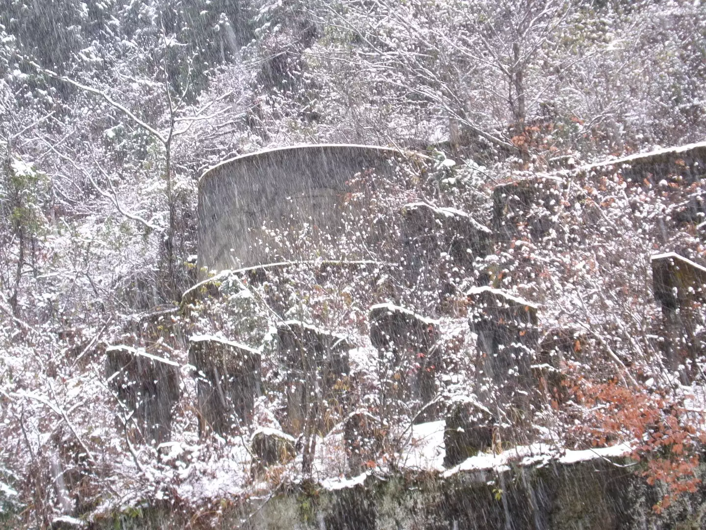 土倉鉱山跡ウォーキング&雪ふりしきる八草トンネル岐阜県側 雪の舞い落ちる中、土蔵岳を眺めるひととき 締めくくりは「緑資源幹線林道 関ケ原・八幡線 春日・久瀬区間」