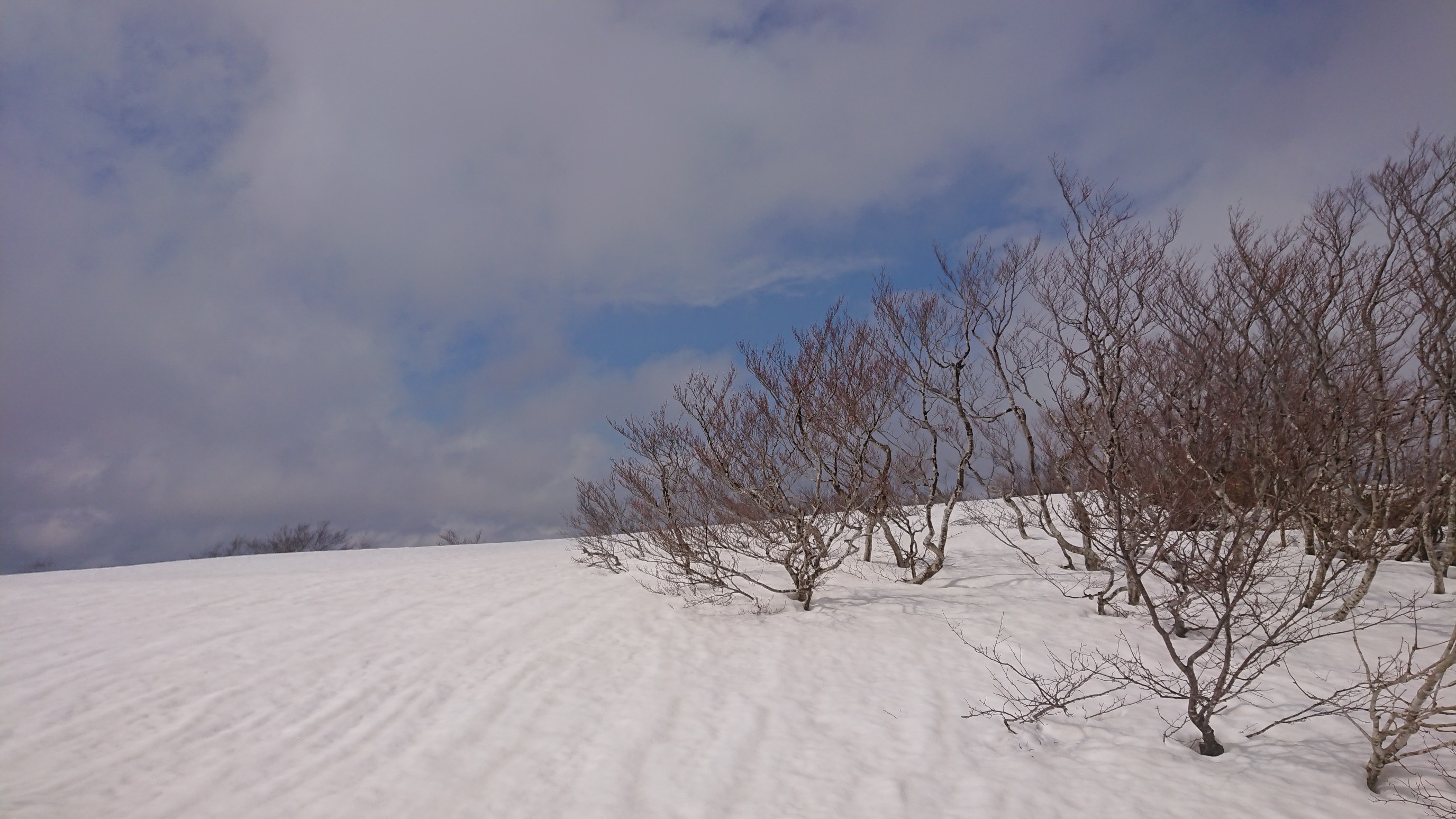 木六山・銀次郎山 帰りにちょっと青空