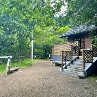 ヤビツレストハウスまで来ました！
もうここまで来たら下山終了です👍