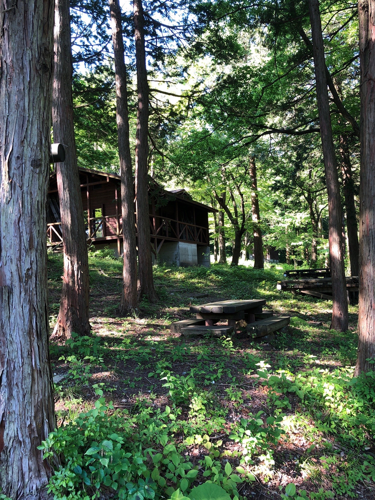新潟県森林浴の森百選 鷹の巣キャンプ場 ケロよんさんの光兎山 奥山 虚空蔵峰 の活動データ Yamap ヤマップ