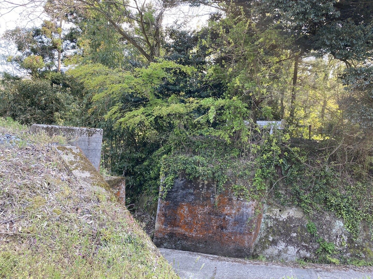 倉吉線廃線跡 倉吉市関金町泰久寺 04 28 みさみささんの蒜山の活動日記 Yamap ヤマップ