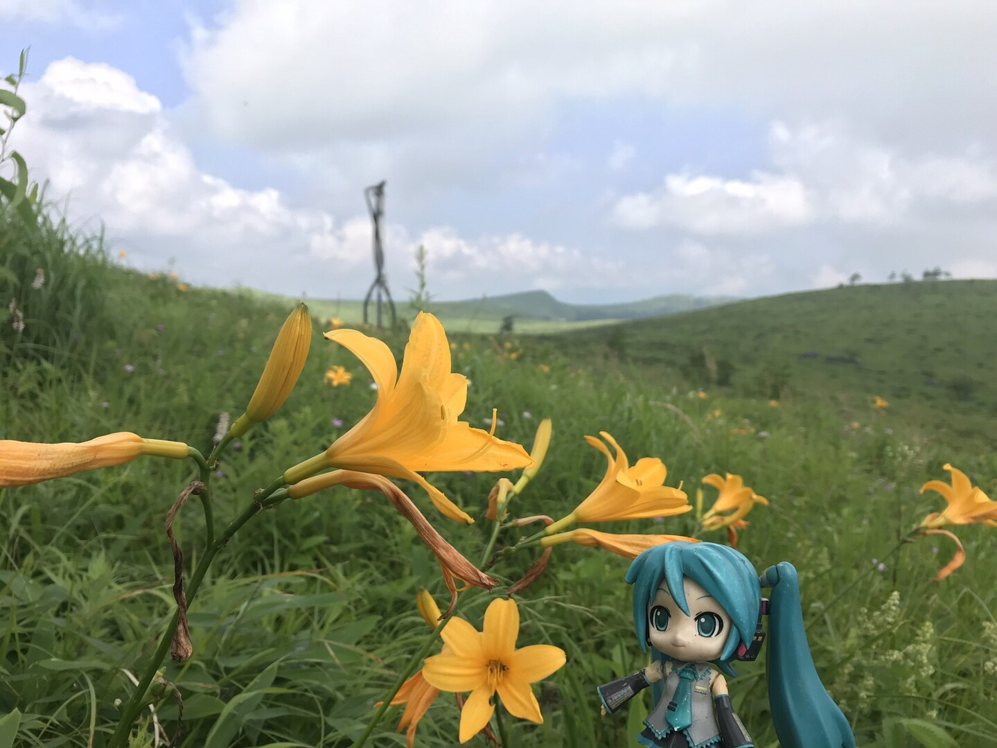 白樺湖から ニッコウキスゲの霧ヶ峰を歩く ミクと登る日本の山 ナガミーさんの霧ヶ峰 車山 大笹峰の活動データ Yamap ヤマップ