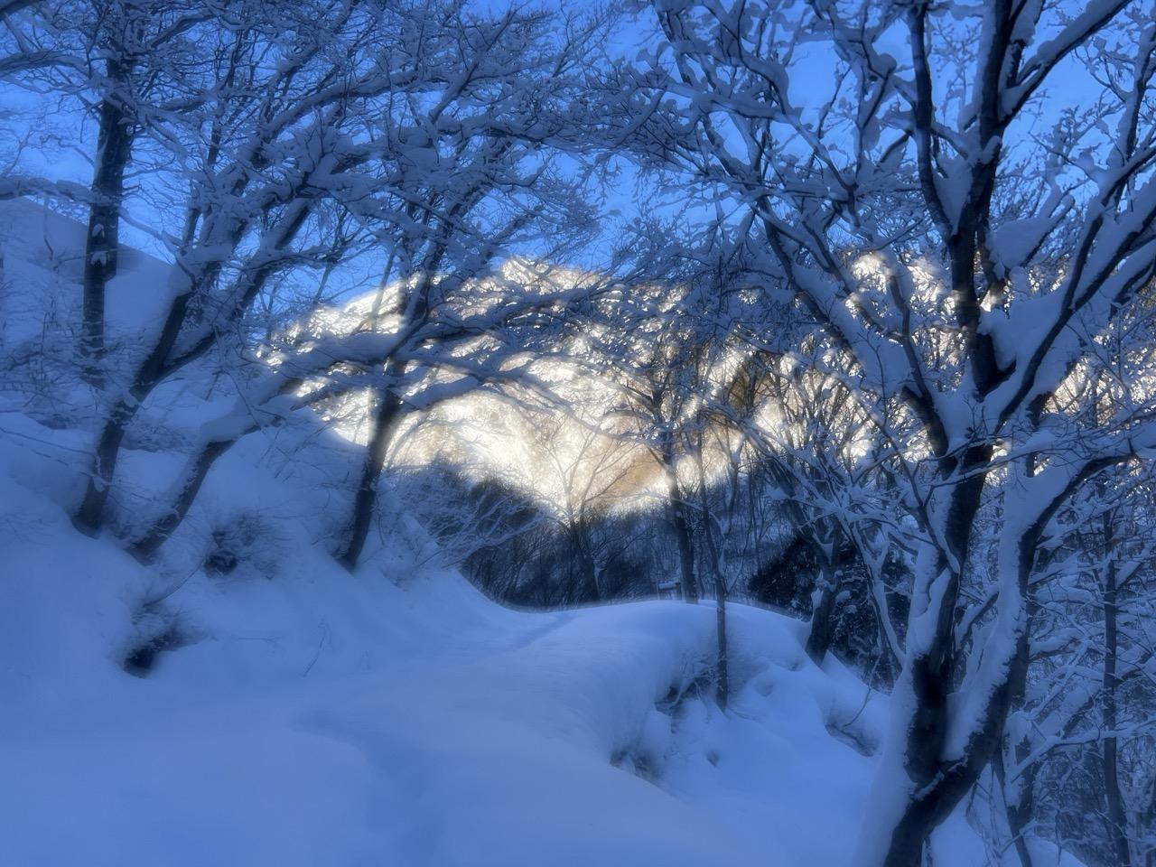 谷川岳・七ツ小屋山・大源太山 辛すぎる林道。この時にヘリ🚁の音を聞いて、直ぐに119に安否報告しました