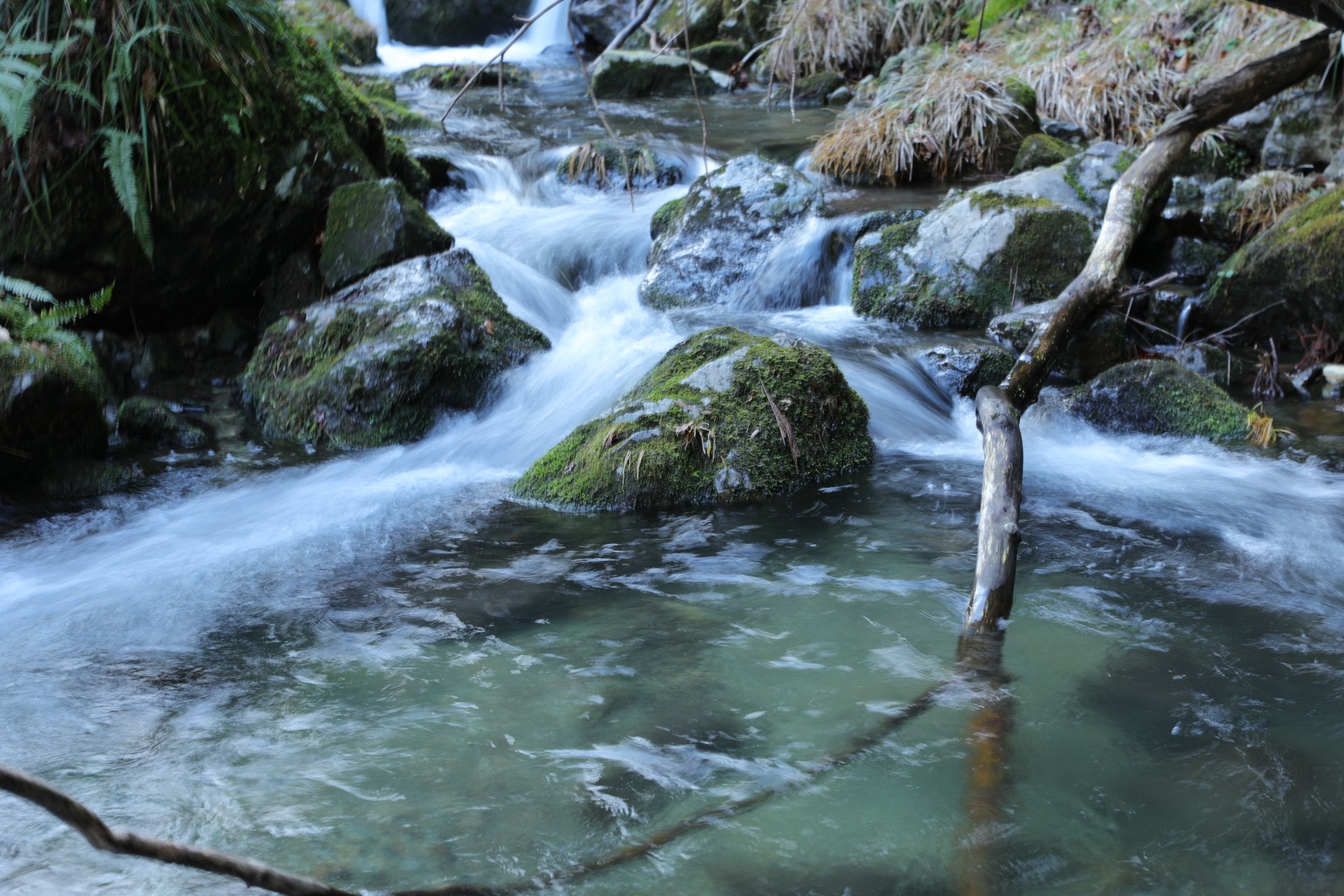 木六山・銀次郎山 視後平の滝手前の沢