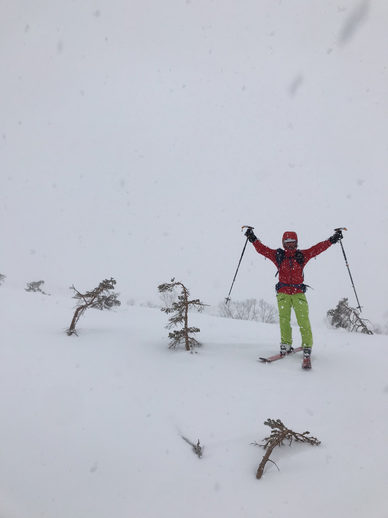 雪の中の白馬乗鞍 天狗原まで とってもパウダー Takeさんの白馬岳 小蓮華山の活動データ Yamap ヤマップ