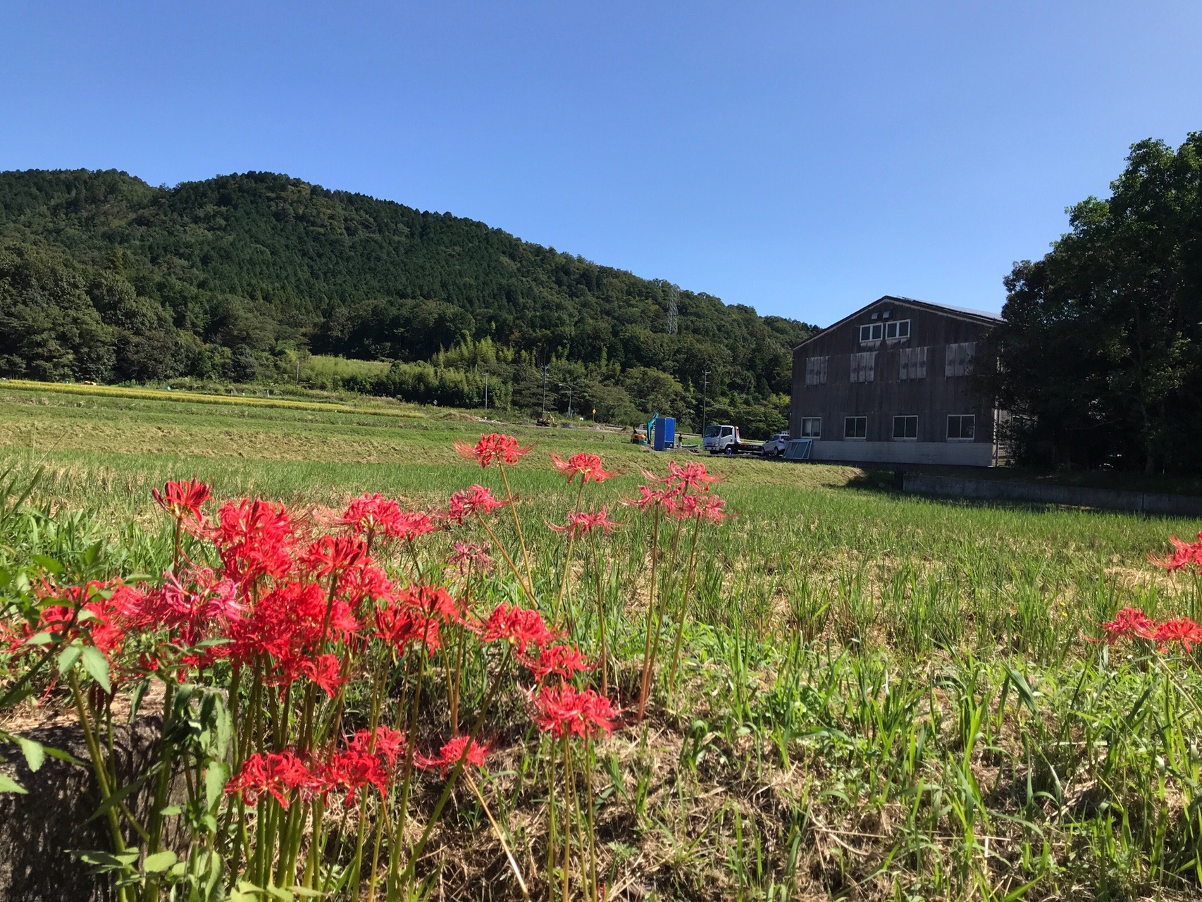 美濃加茂 トスカーナ までサイクリング Yu Mi さんの中山道 太田宿 鵜沼宿 の活動データ Yamap ヤマップ