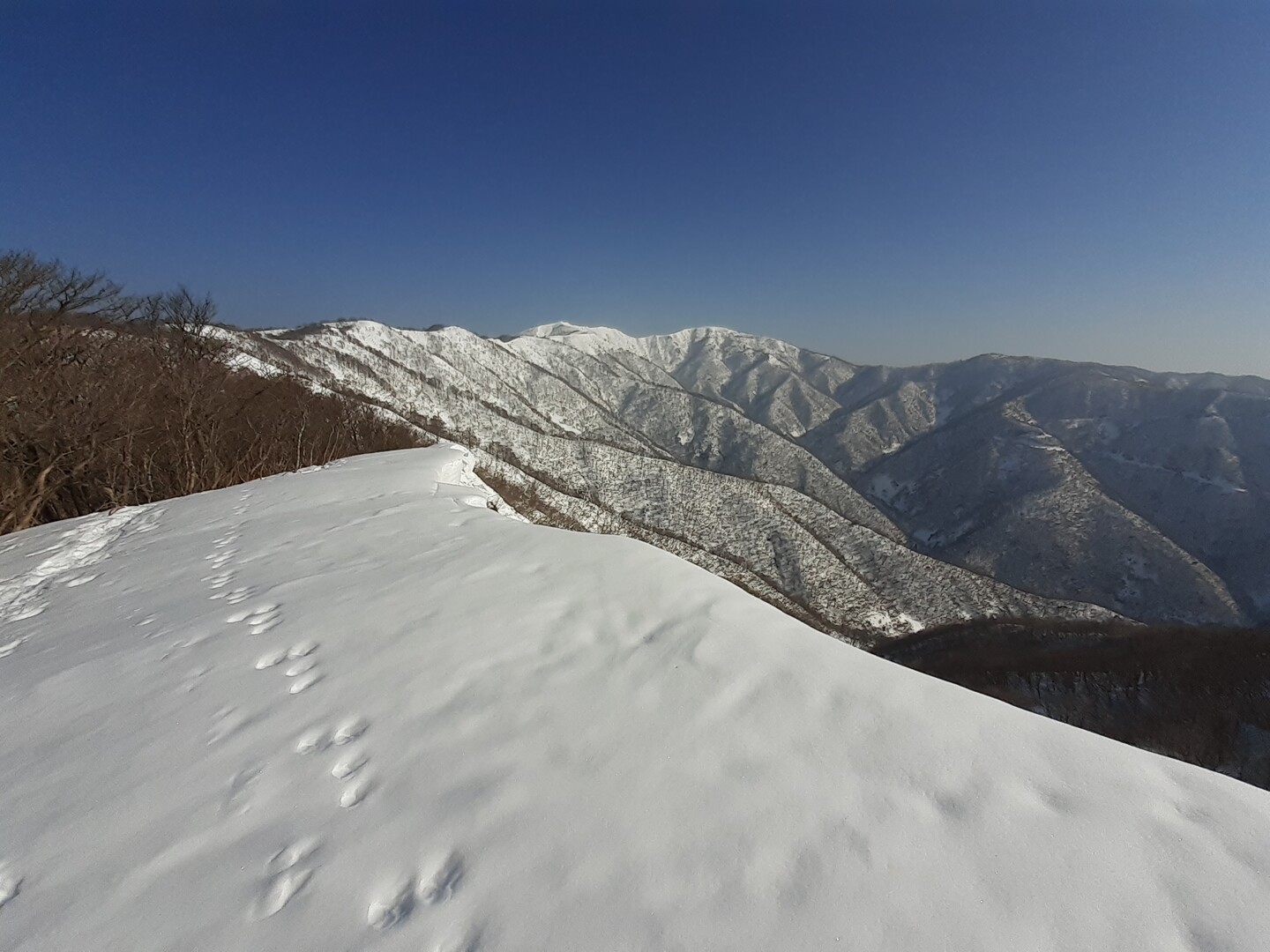 金糞スノ周回 疲れたが最高っ かな クソッ たかしさんの金糞岳の活動データ Yamap ヤマップ
