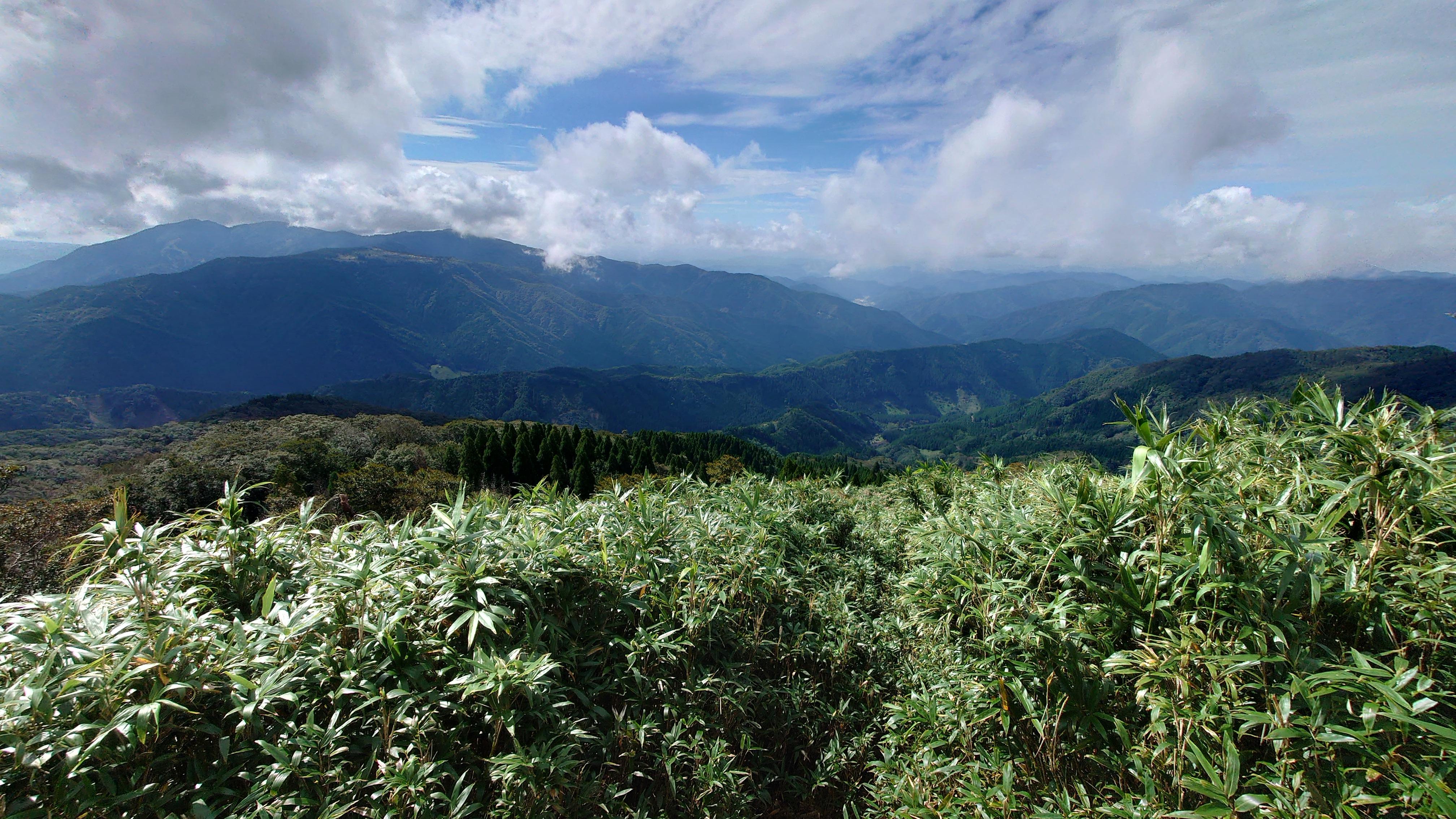 若杉天然林から沖ノ山へ / hetaR（へたれ）さんの沖ノ山・若杉原生林（若杉天然林）の活動データ YAMAP / ヤマップ