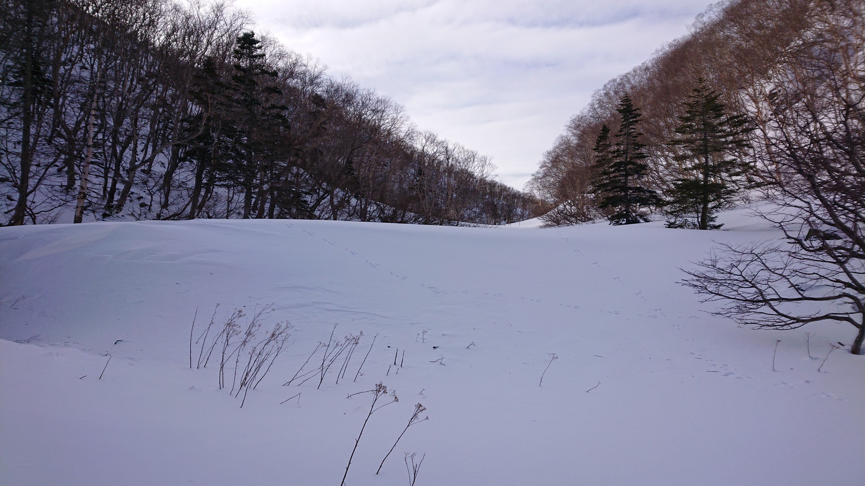日光白根山・五色山・錫ヶ岳 ノートレース 
去年の2倍程の積雪だ
この先は地獄だね
奥白根山 諦めるかあ～

この後、避難小屋を覗く