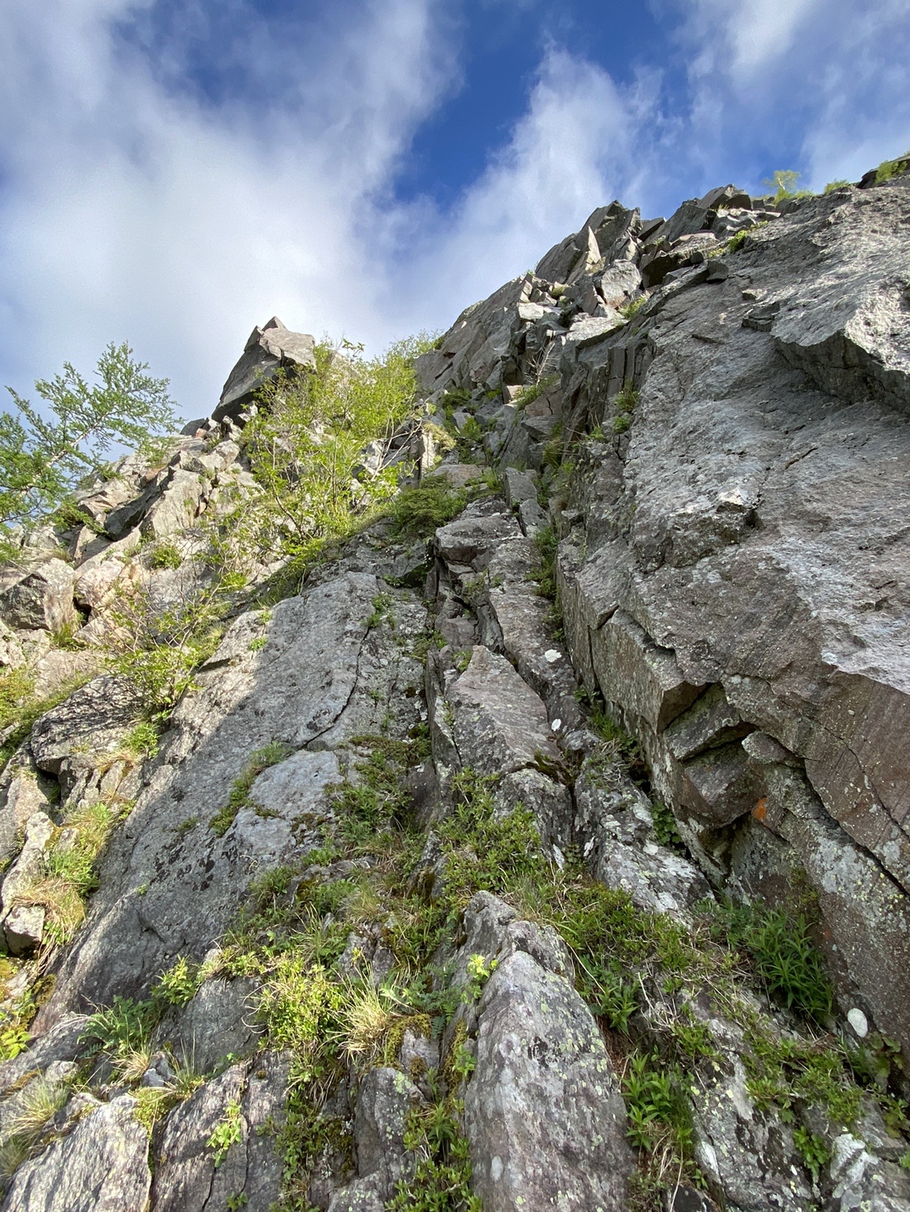 稲子岳南壁左ダイレクトルート 06 21 Garuboさんの八ヶ岳 赤岳 硫黄岳 天狗岳 の活動データ Yamap ヤマップ