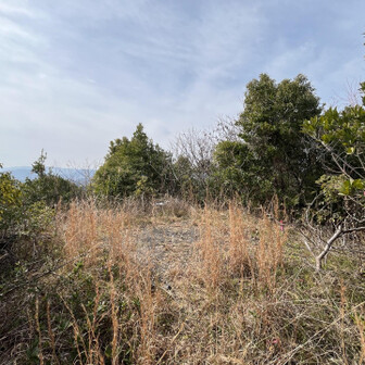 飯塚市 ボタ山でした。